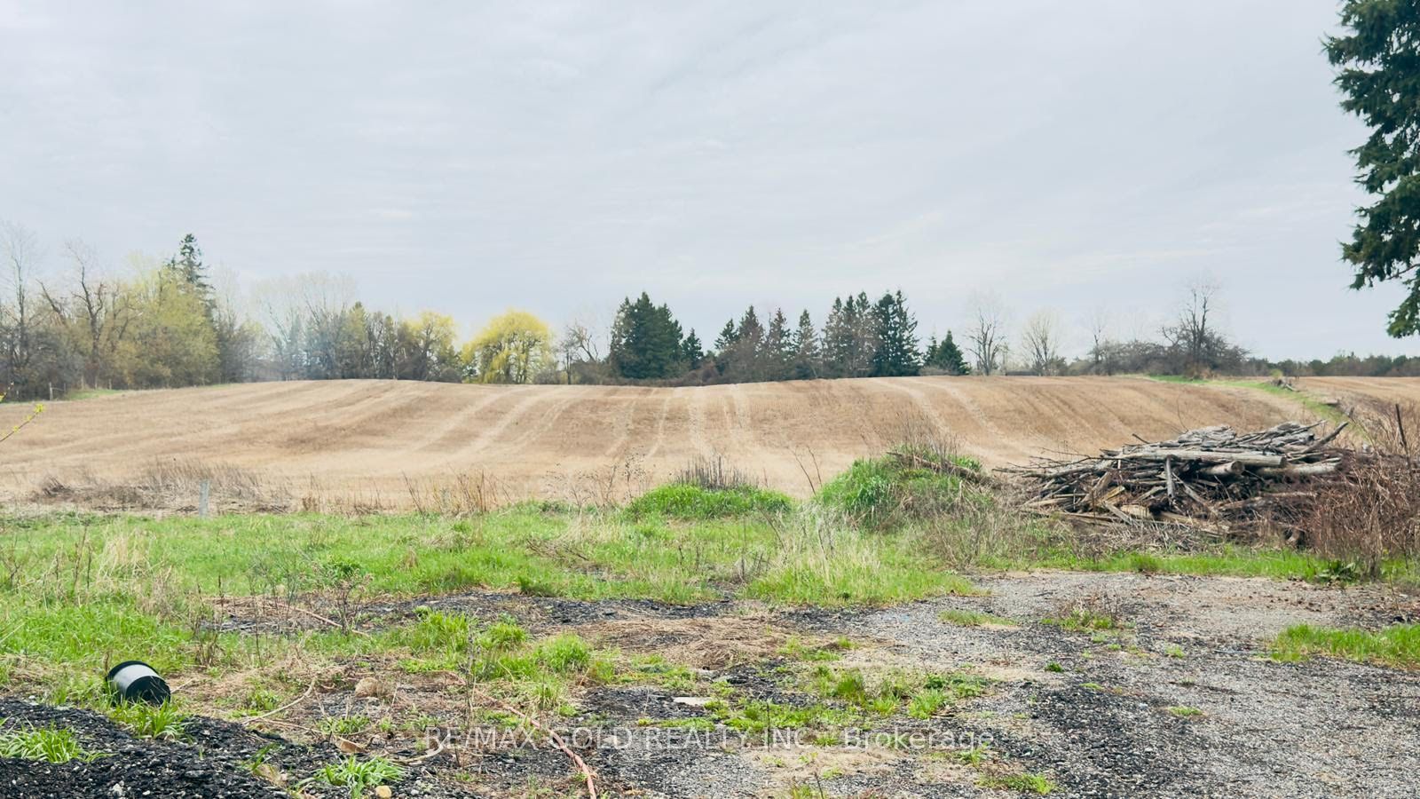 4476 Beech Grove Side Road Property Photo 16