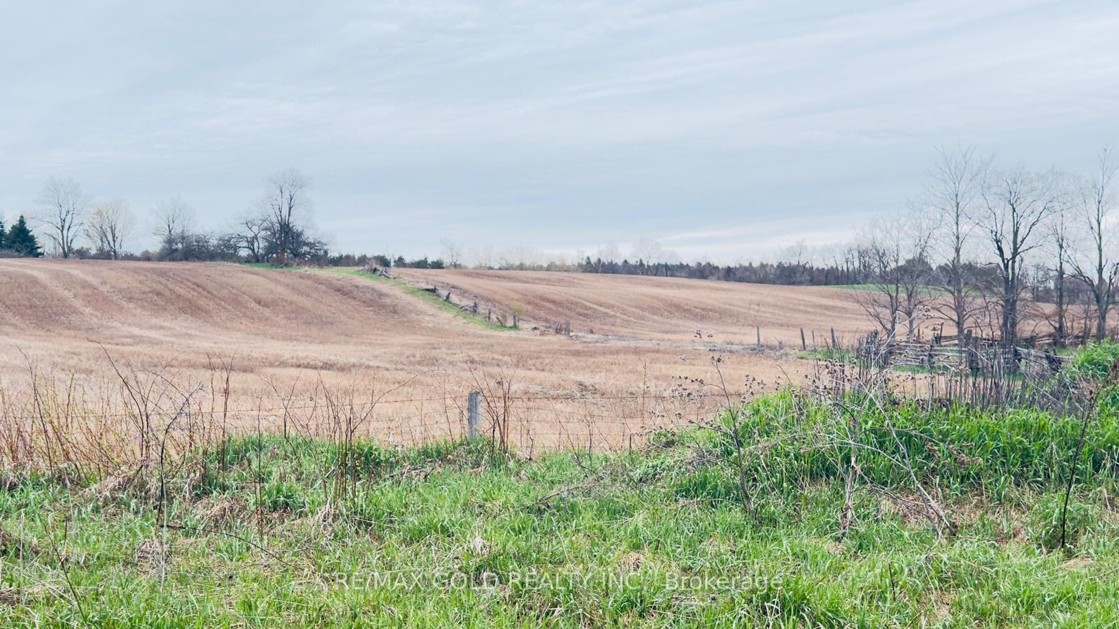4476 Beech Grove Side Road Property Photo 17