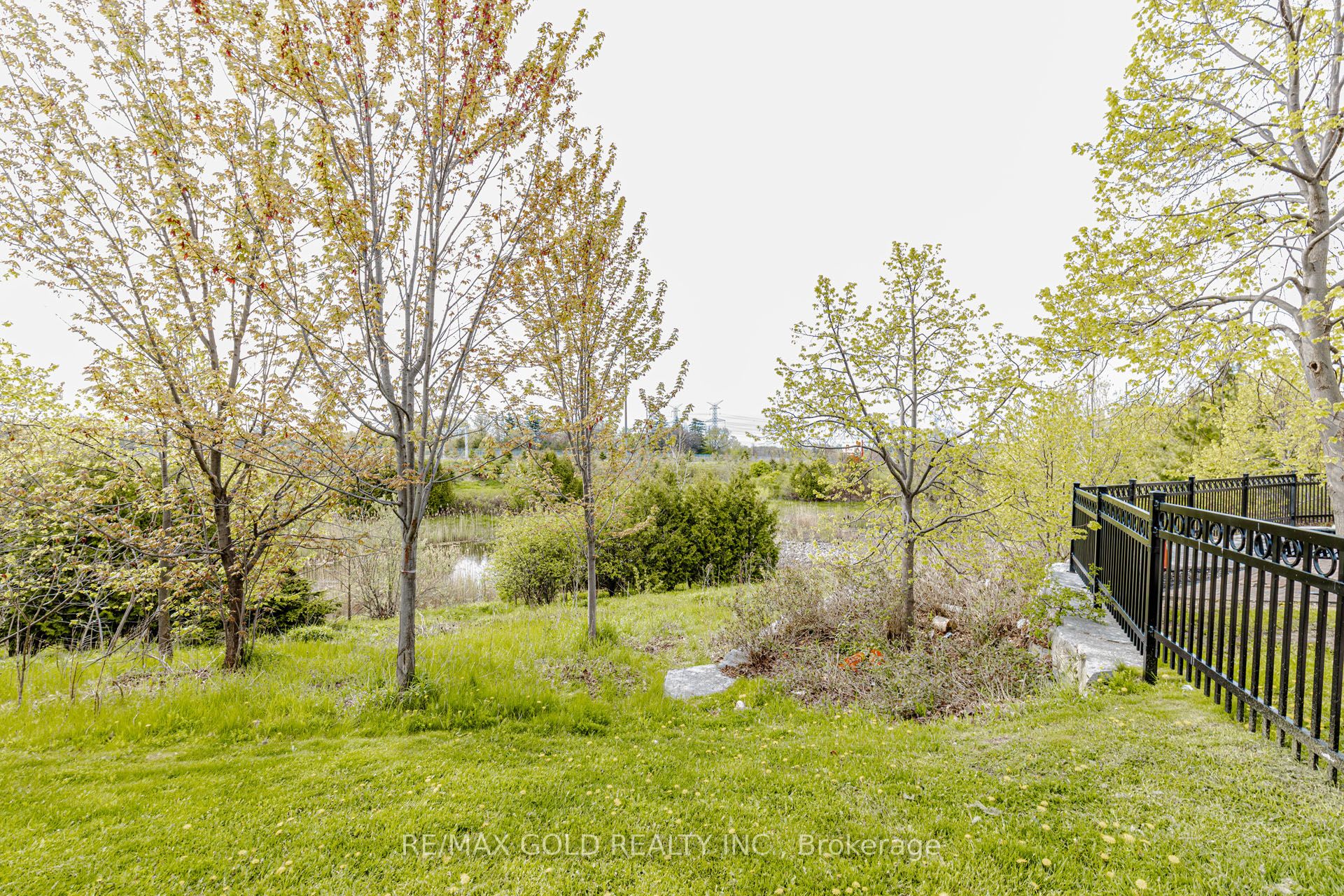 12 Cailiff Street Property Photo 45