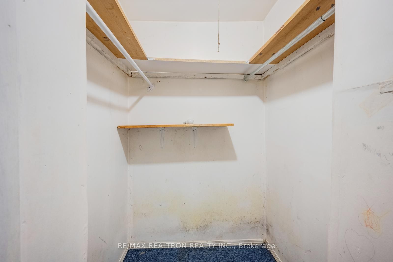 6 Albemarle Court Property Photo 45