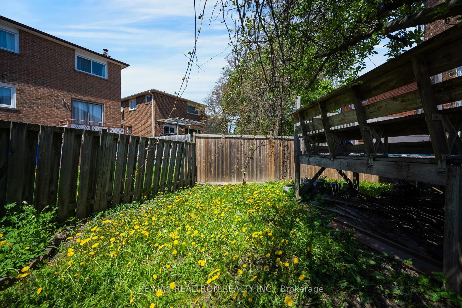 6 Albemarle Court Property Photo 49