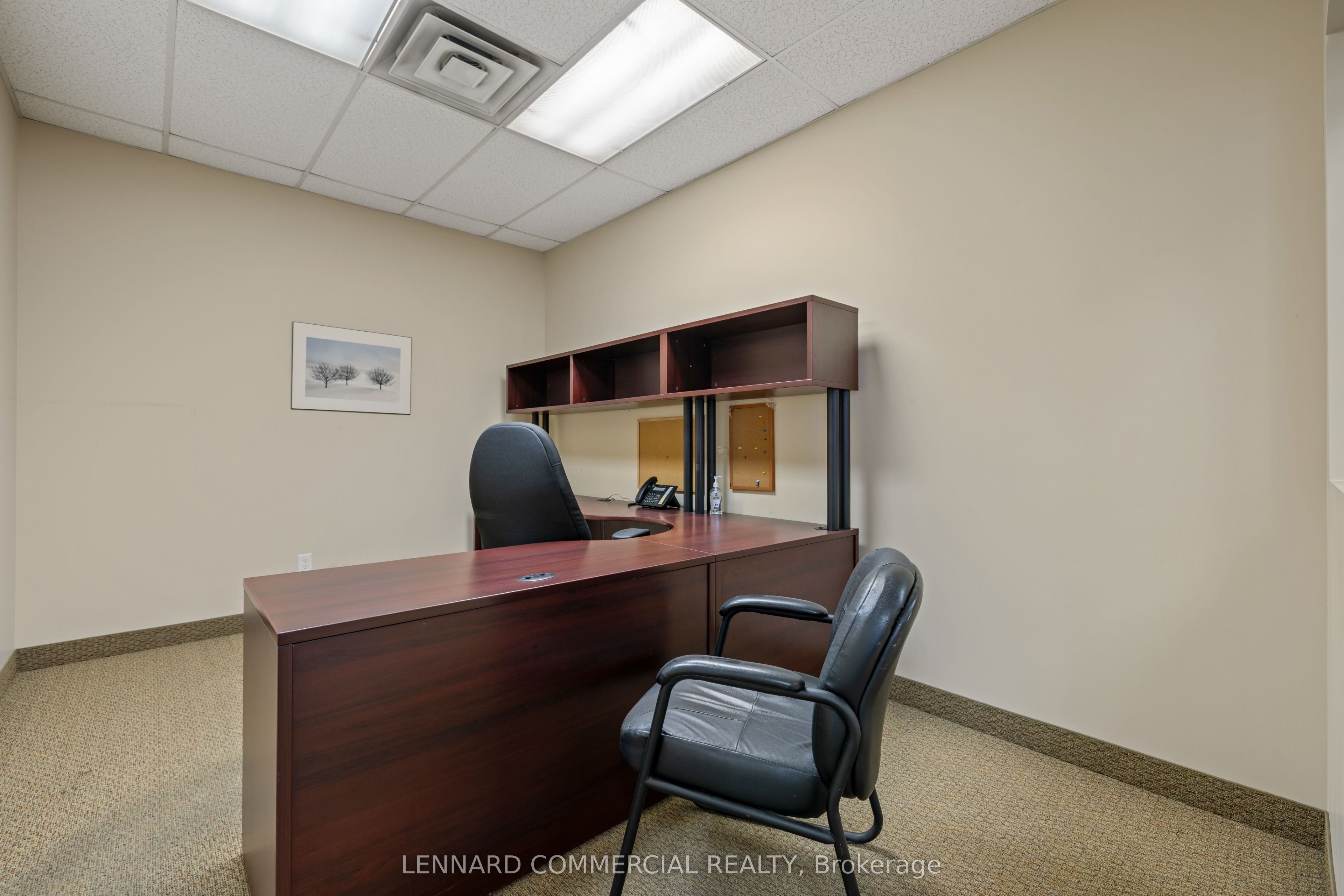 18 Hedgedale Road Property Photo 24