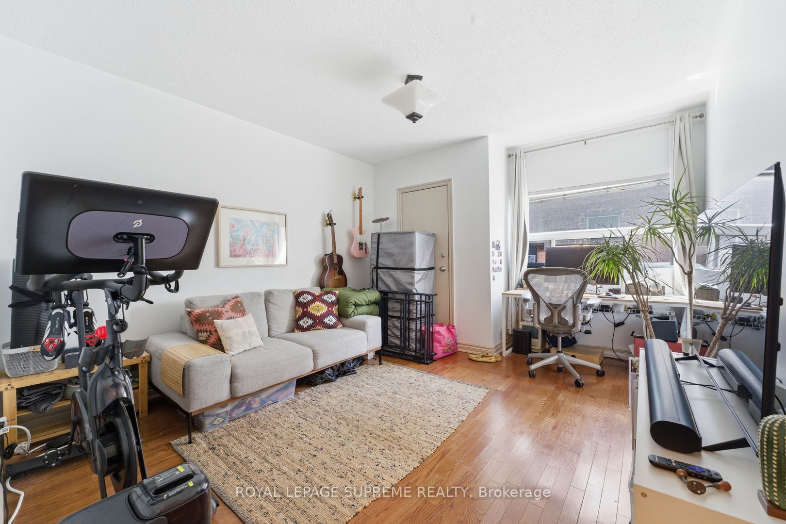20 Maynard Avenue Property Photo 45