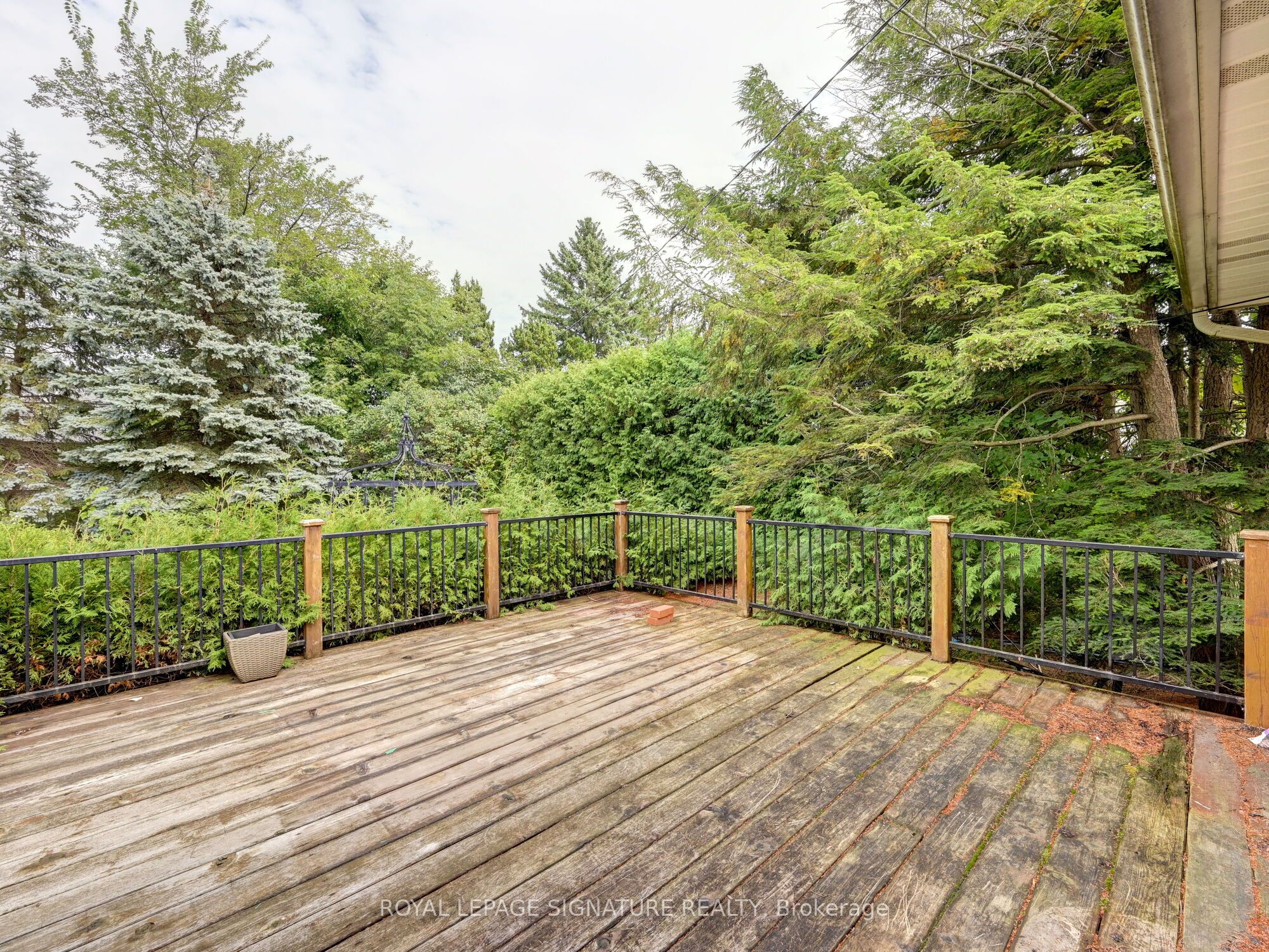 251 Third Line Property Photo 45