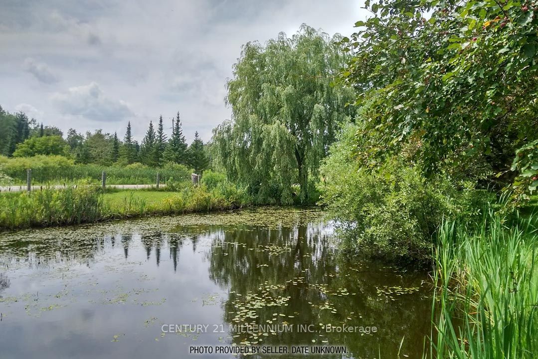 18599 Horseshoe Hill Road Property Photo 3