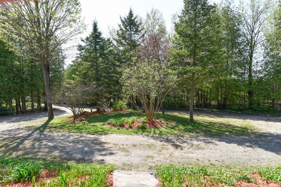 18599 Horseshoe Hill Road Property Photo 6