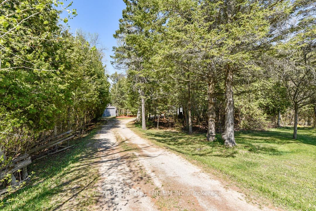 18599 Horseshoe Hill Road Property Photo 8