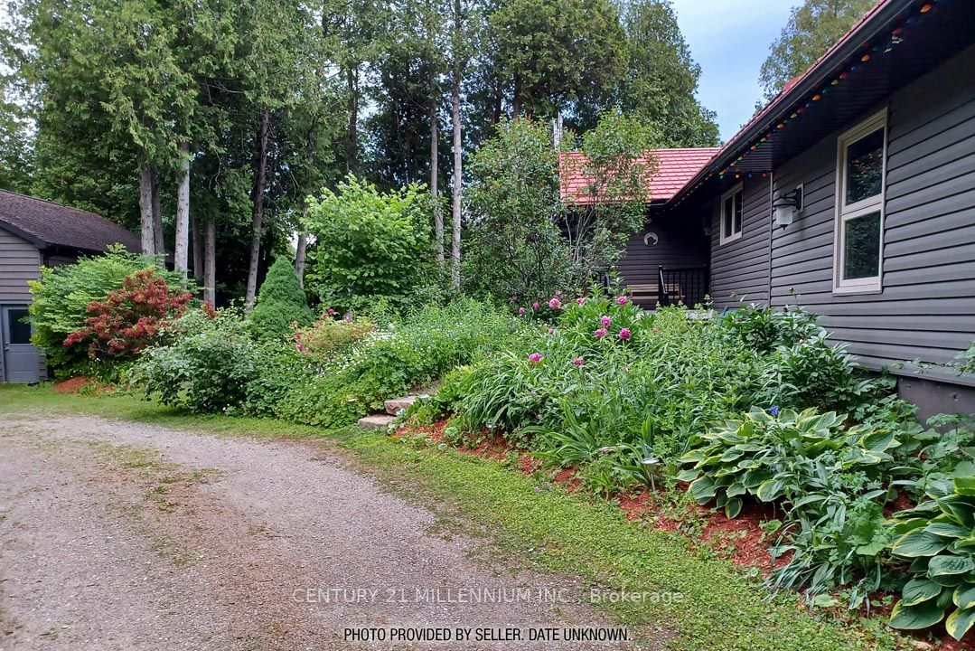 18599 Horseshoe Hill Road Property Photo 9