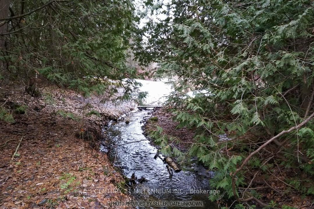 18599 Horseshoe Hill Road Property Photo 42
