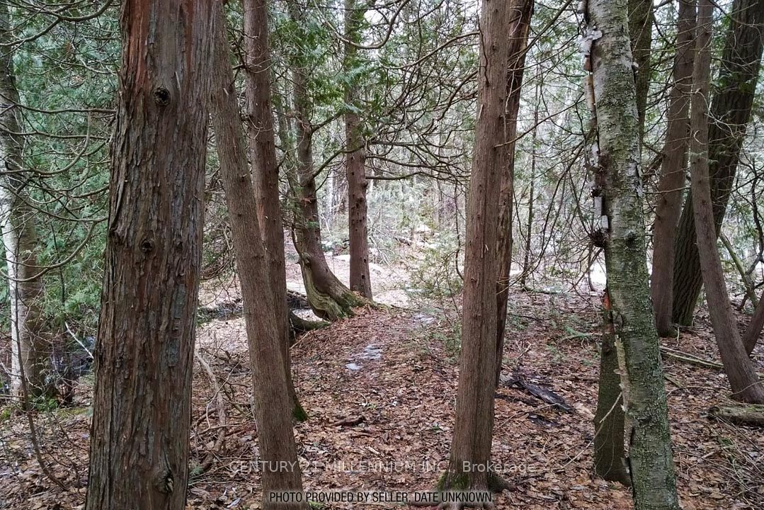 18599 Horseshoe Hill Road Property Photo 43