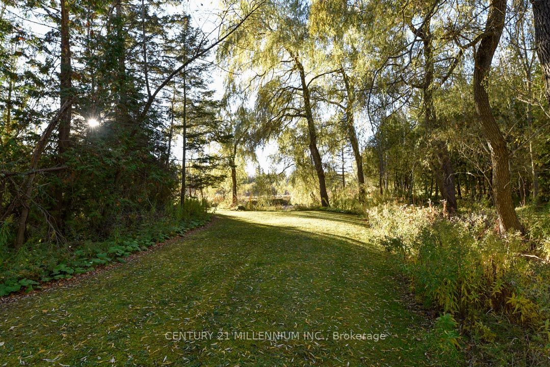 18599 Horseshoe Hill Road Property Photo 44