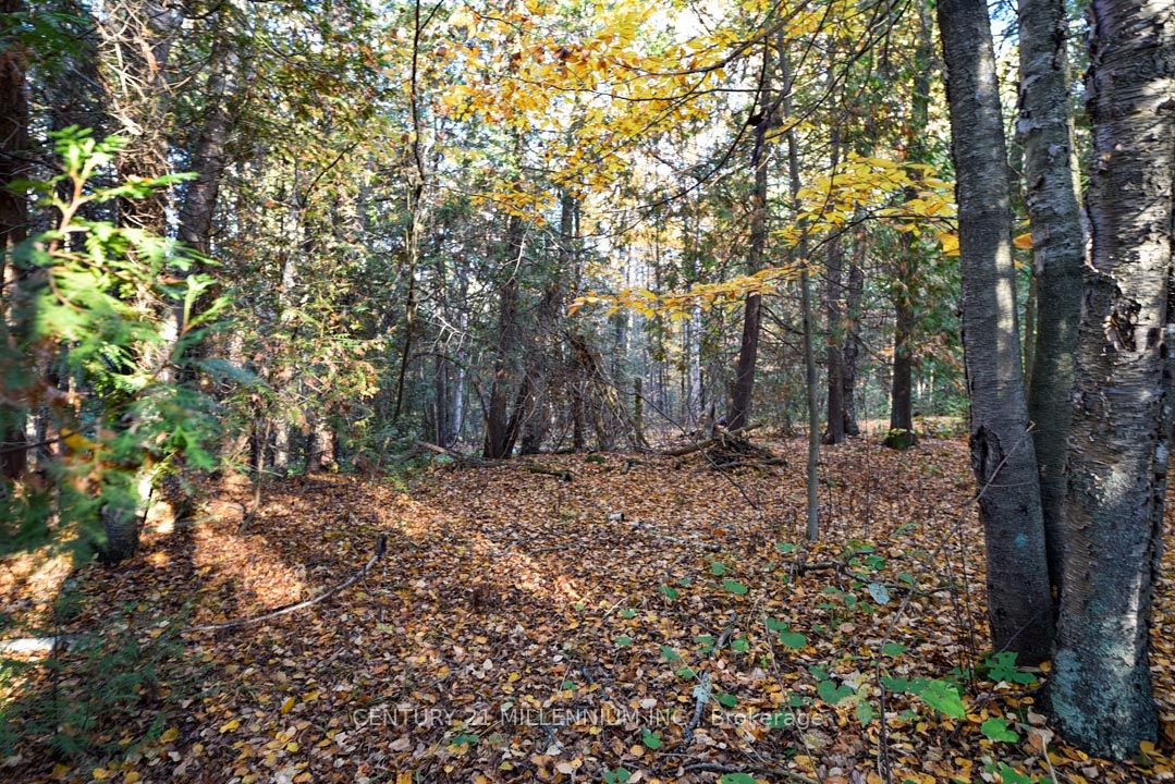 18599 Horseshoe Hill Road Property Photo 45