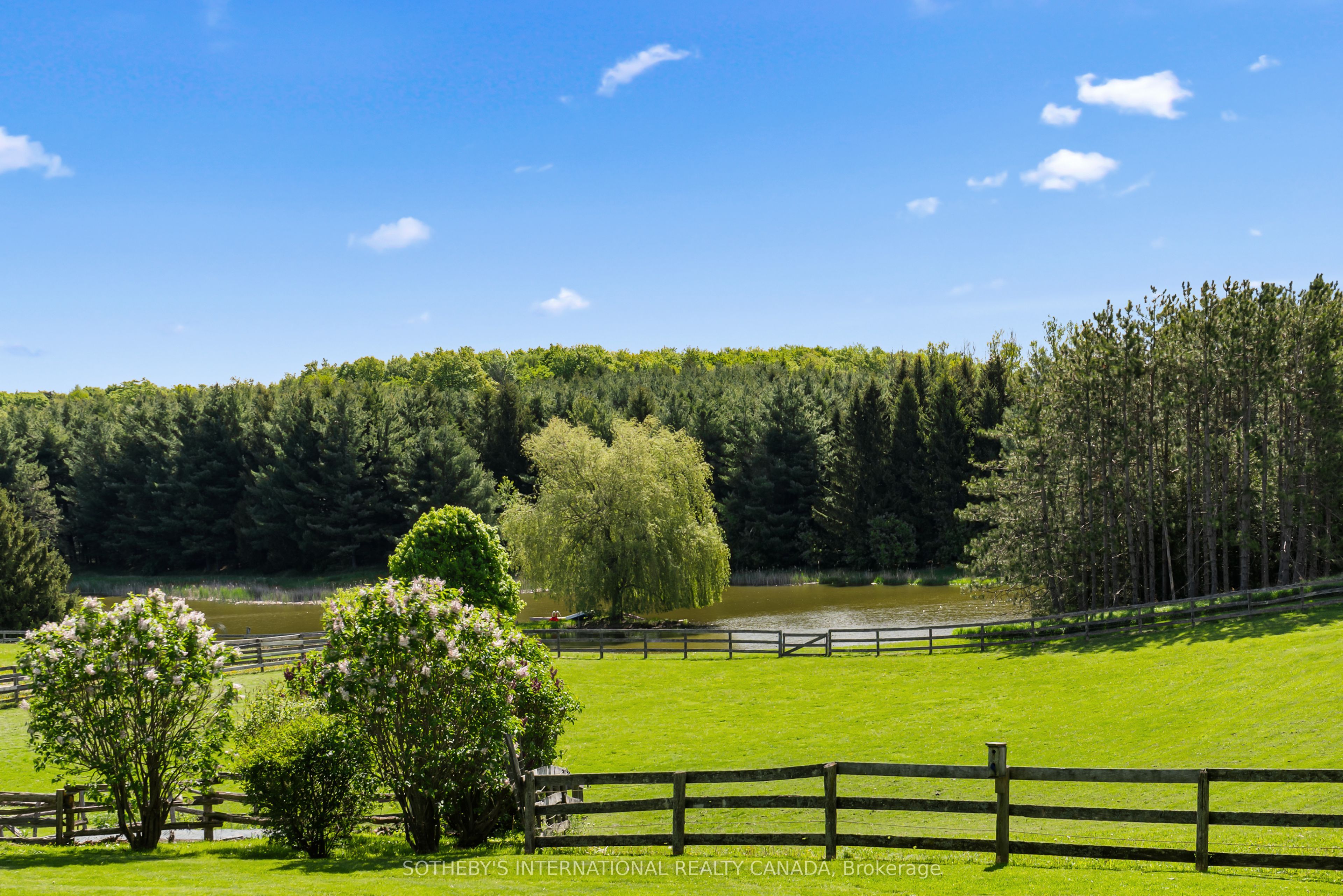 18101 Shaws Creek Road Property Photo 44