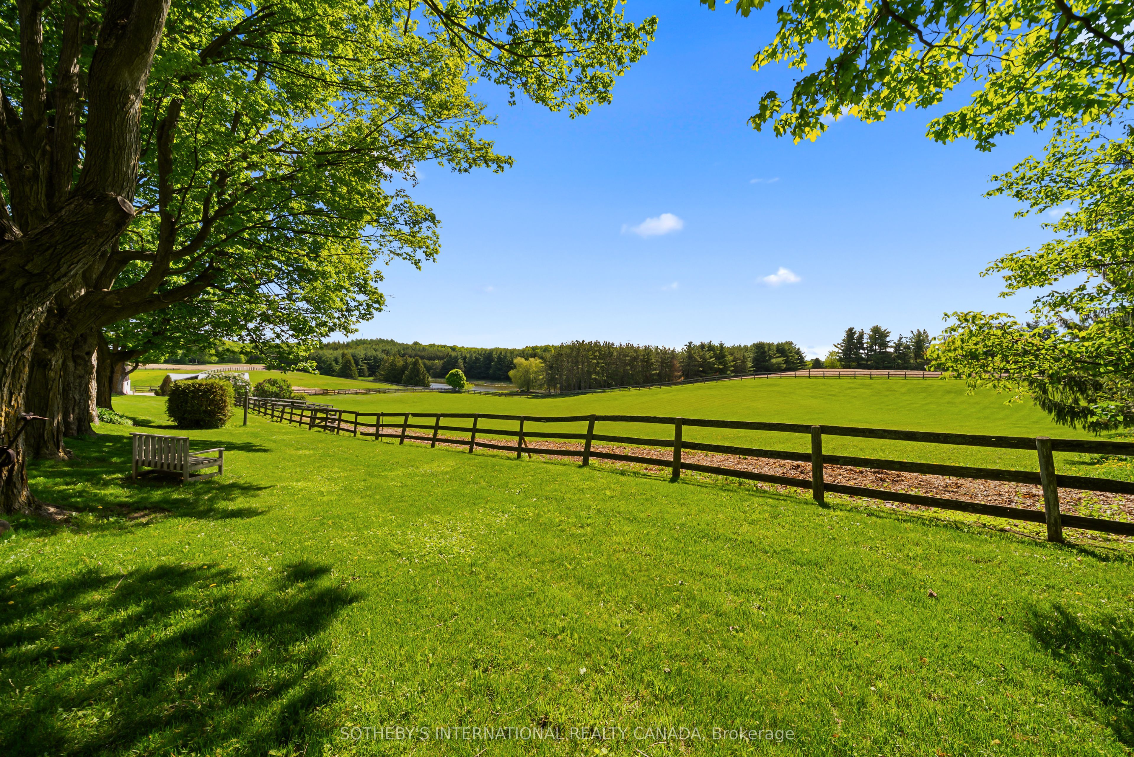 18101 Shaws Creek Road Property Photo 45