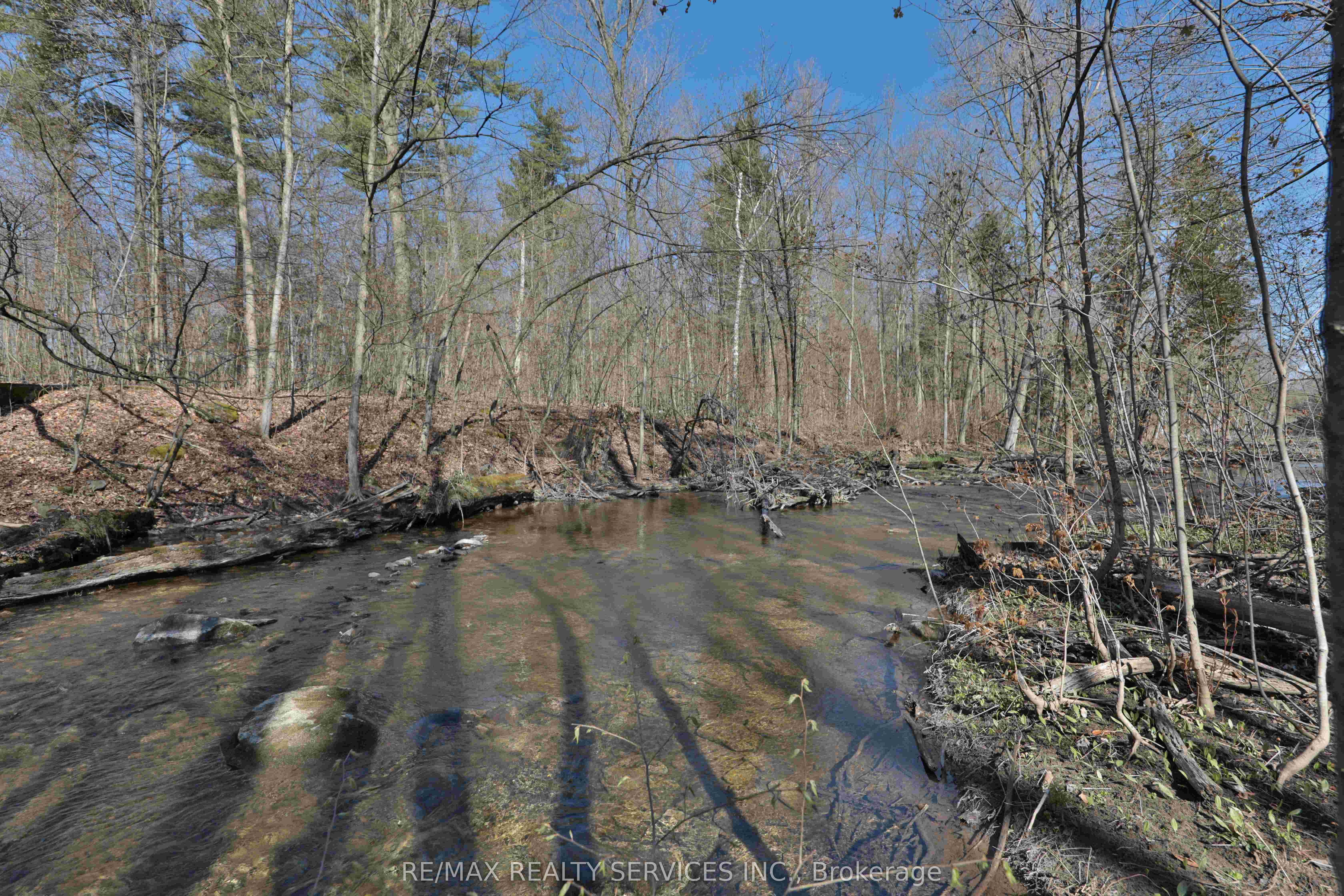 20 Side Road Property Photo 9
