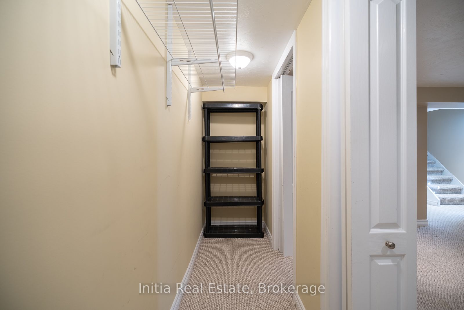 53 Burrows Avenue Property Photo 19