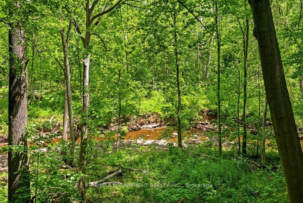 277 Shoreacres Road Property Photo 43