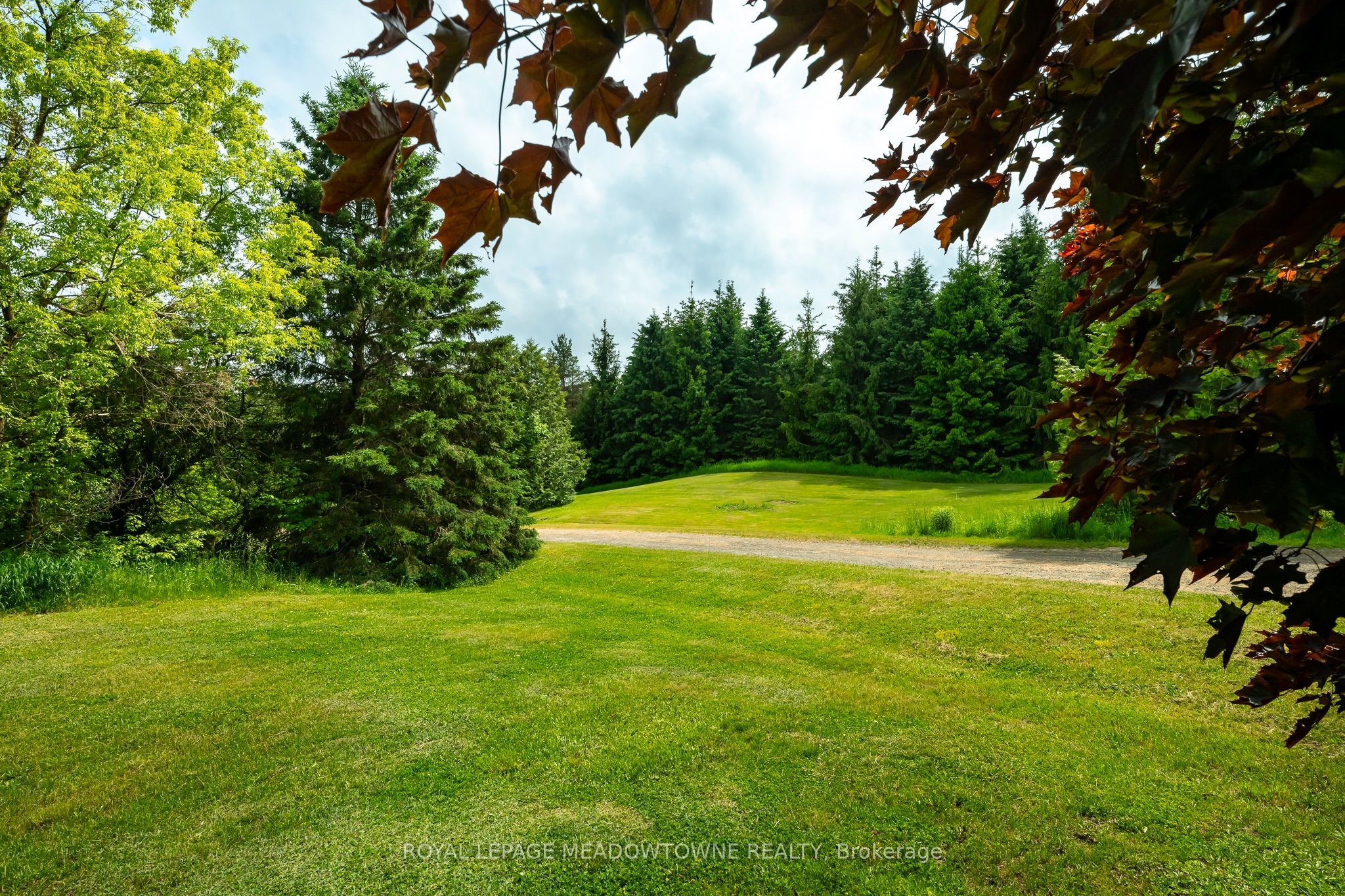 3574 Escarpment Side Road Property Photo 25