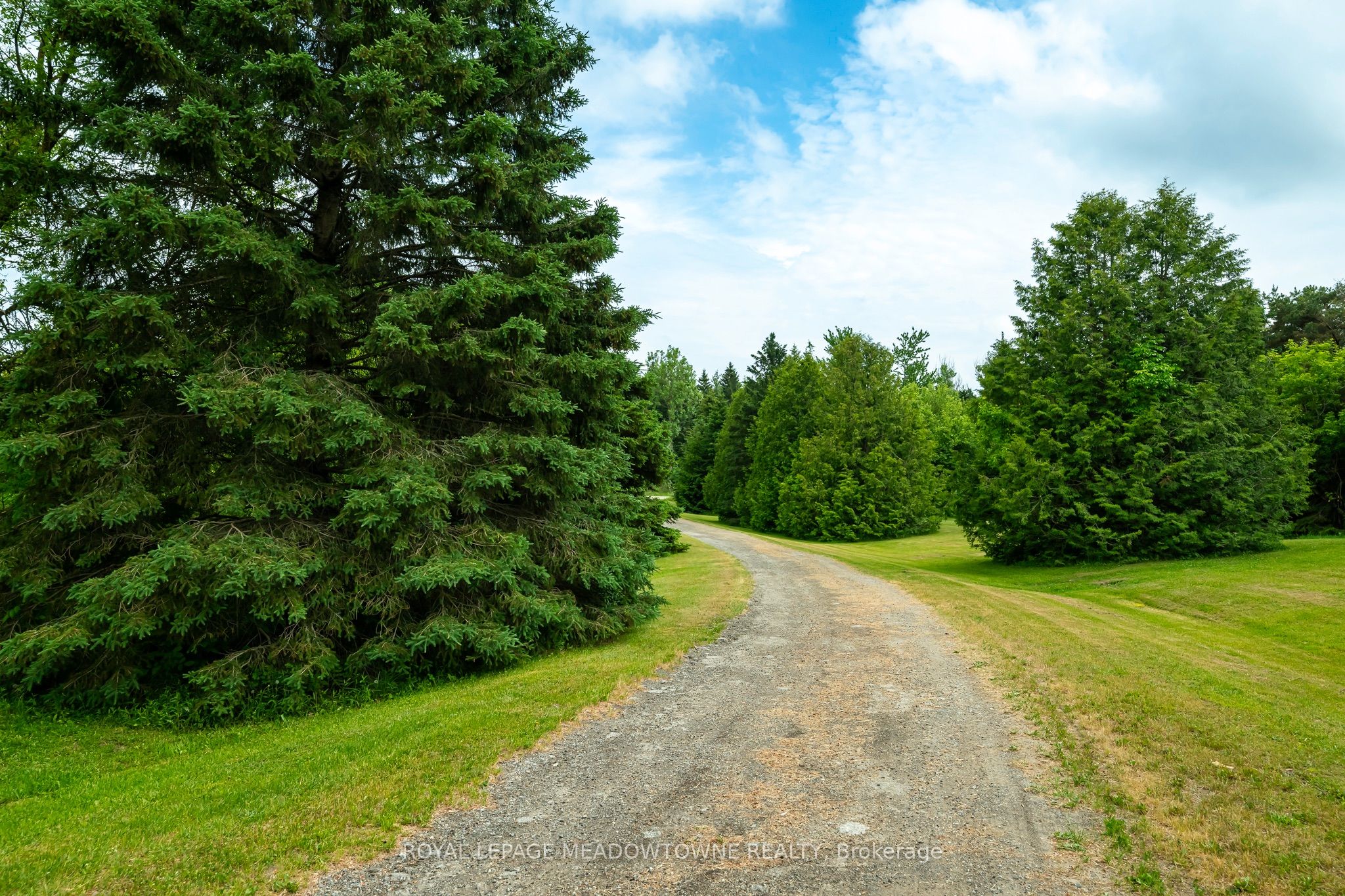 3574 Escarpment Side Road Property Photo 26