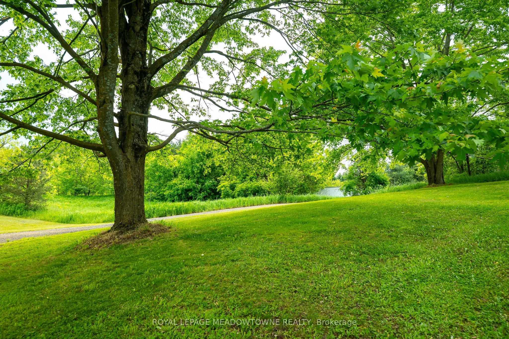 3574 Escarpment Side Road Property Photo 27