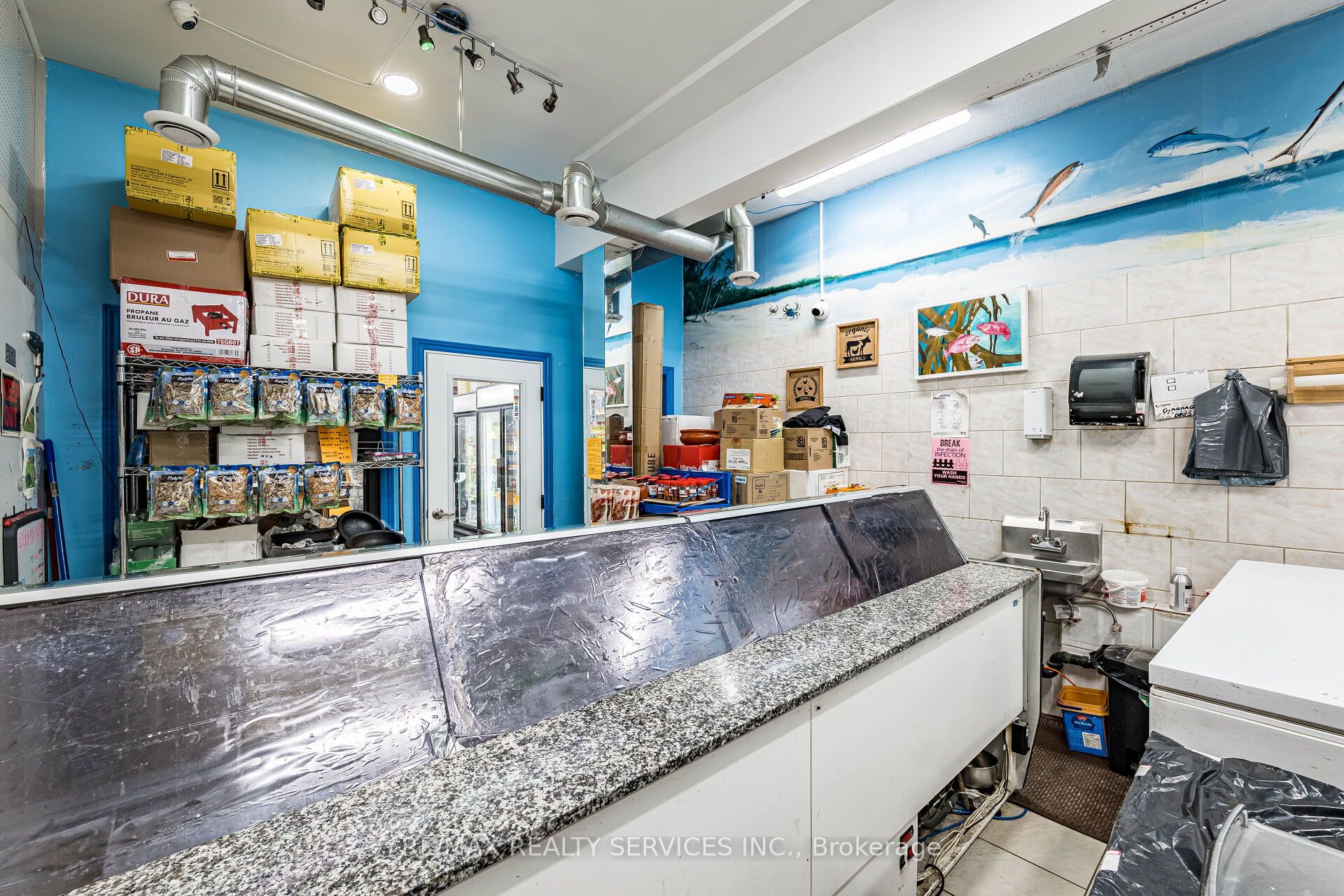 44 Dean Street Property Photo 28