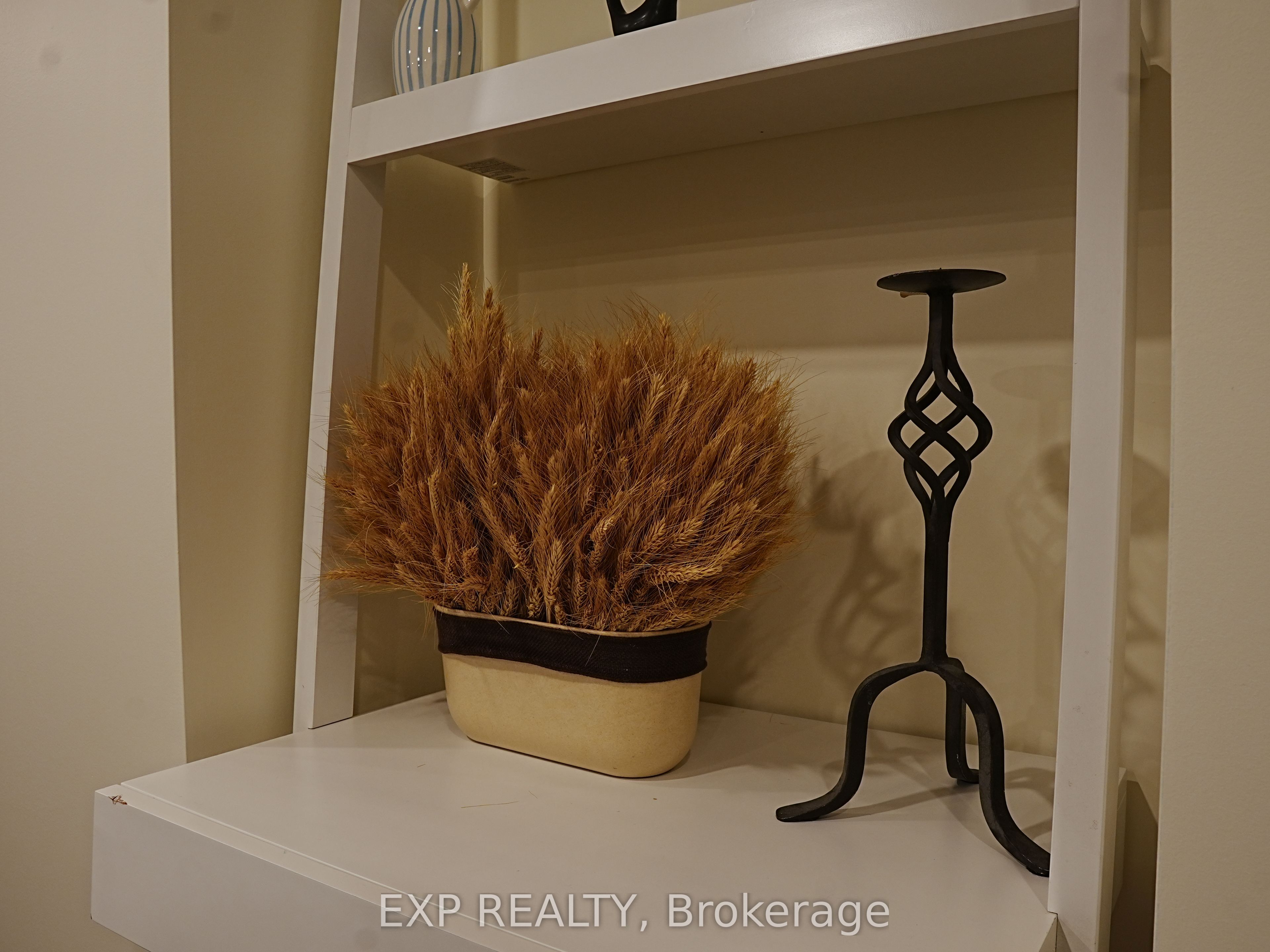 1167 Bancroft Drive Bsmt Property Photo 15