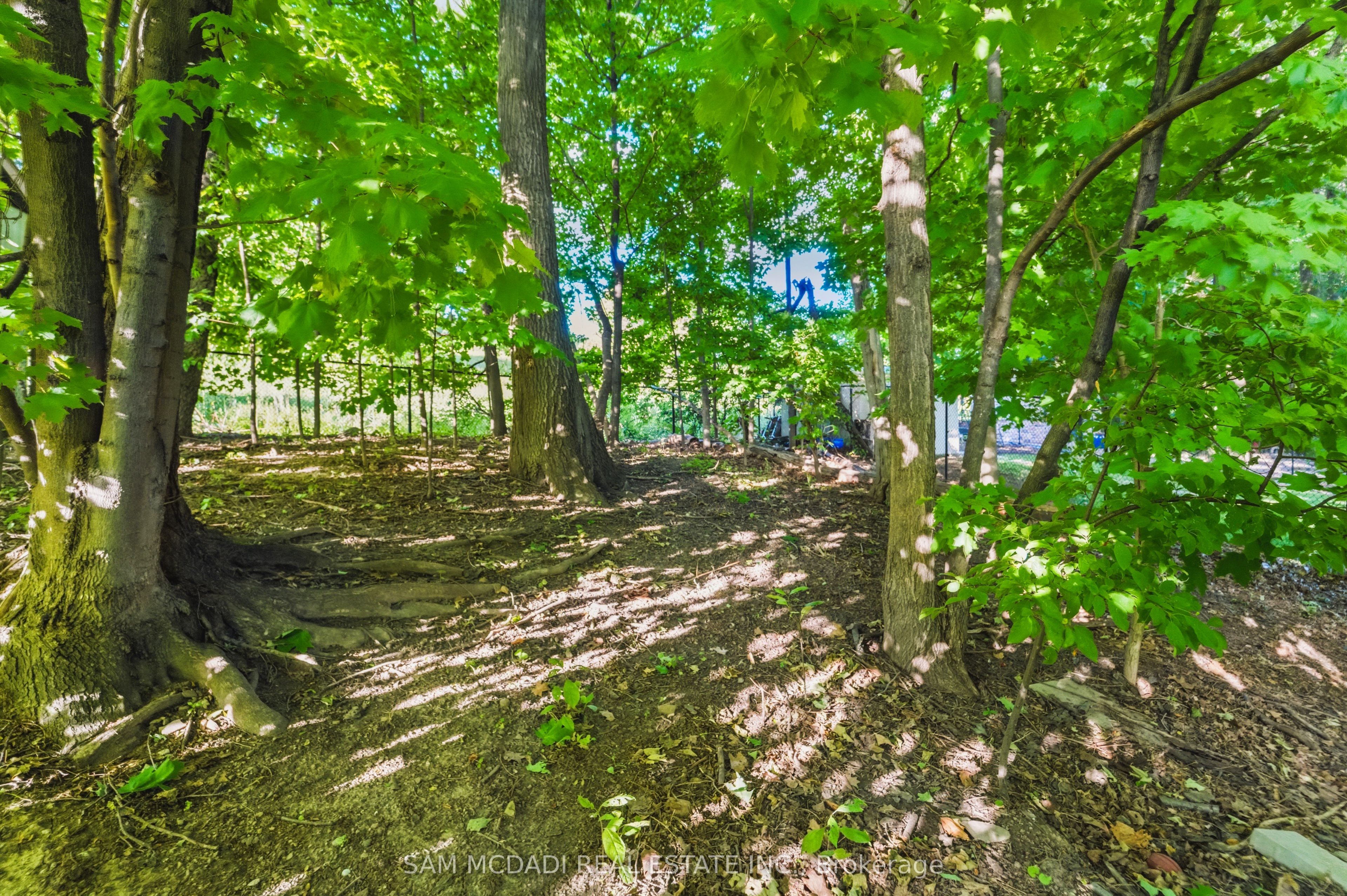 5481 Middleport Crescent Property Photo 45