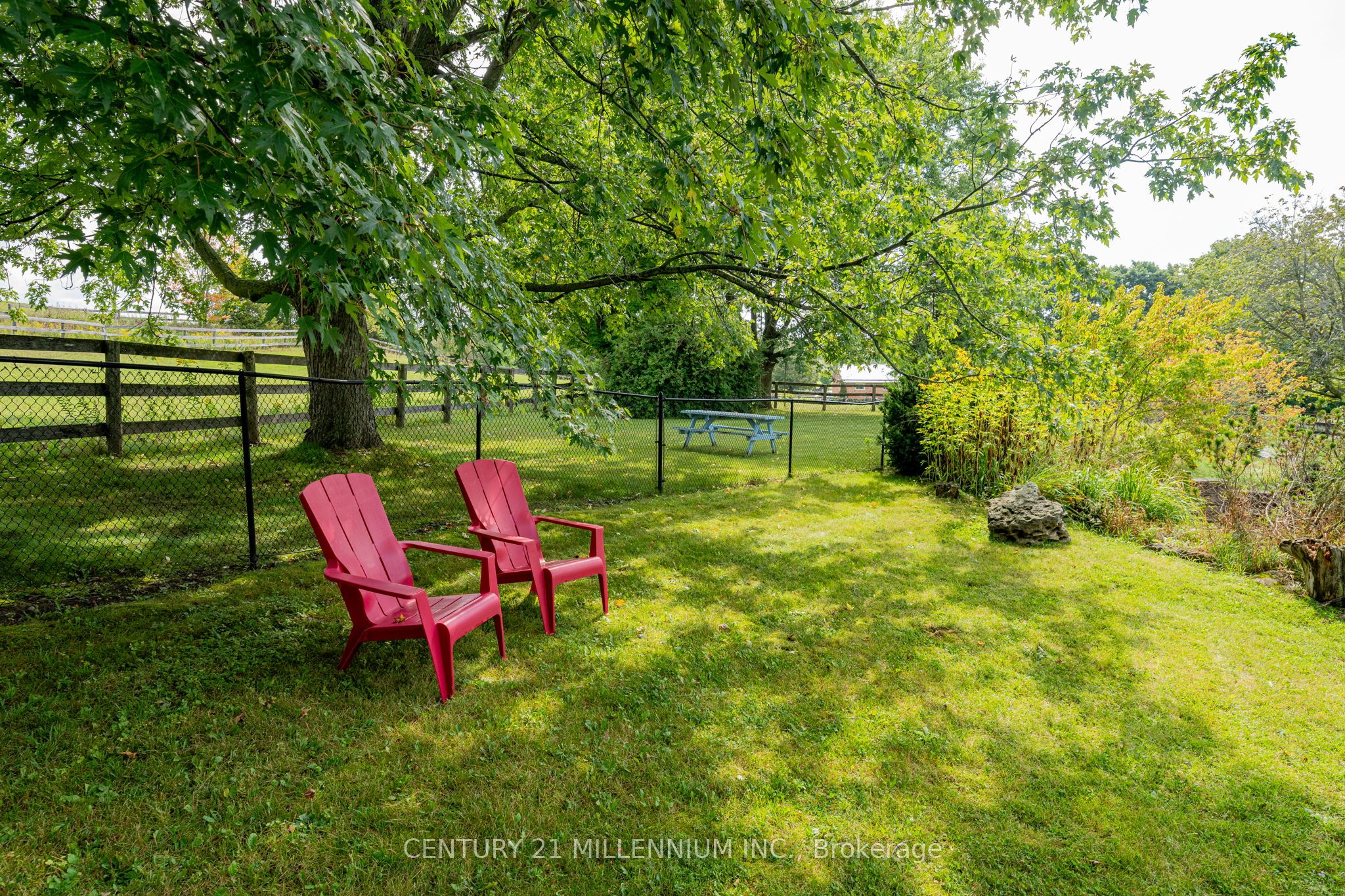 20909 Shaws Creek Road Property Photo 27