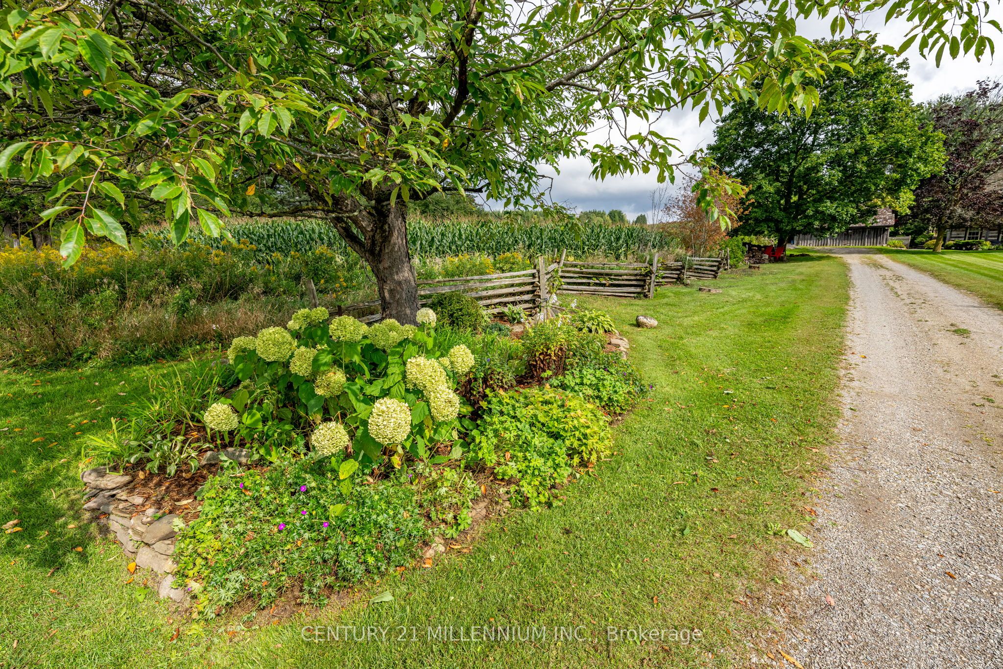20909 Shaws Creek Road Property Photo 32