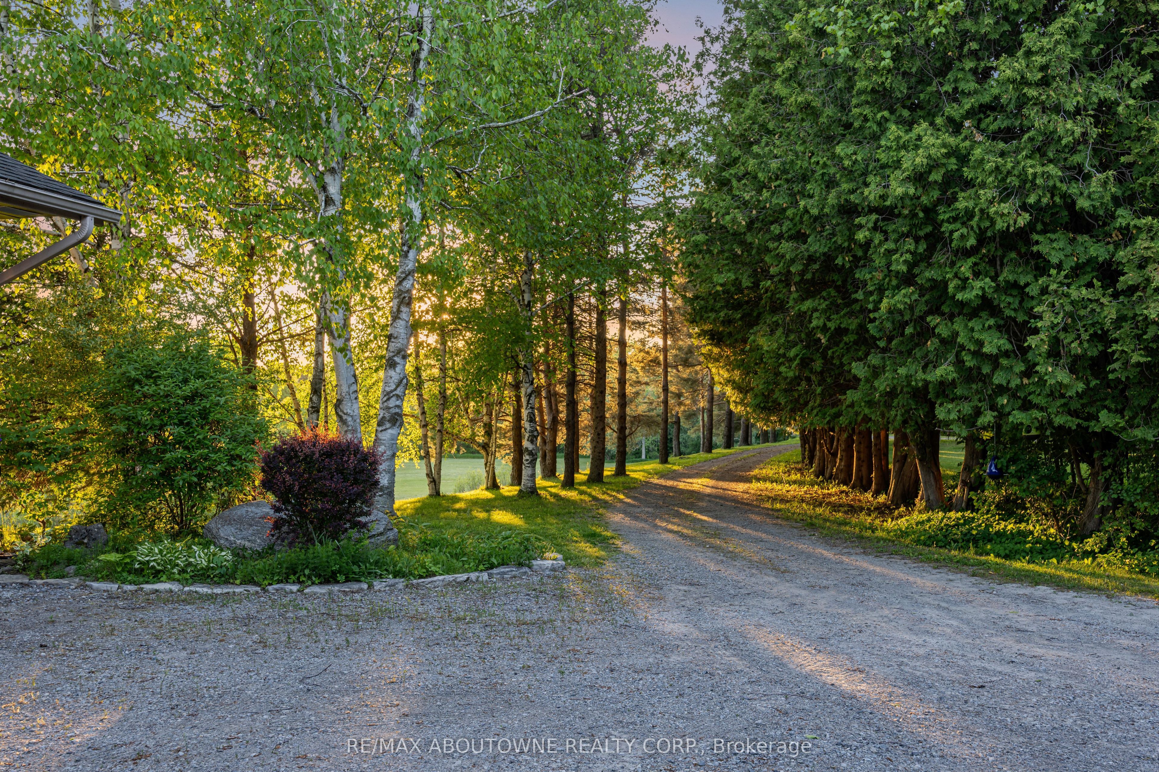 2360 8 Side Road Property Photo 9