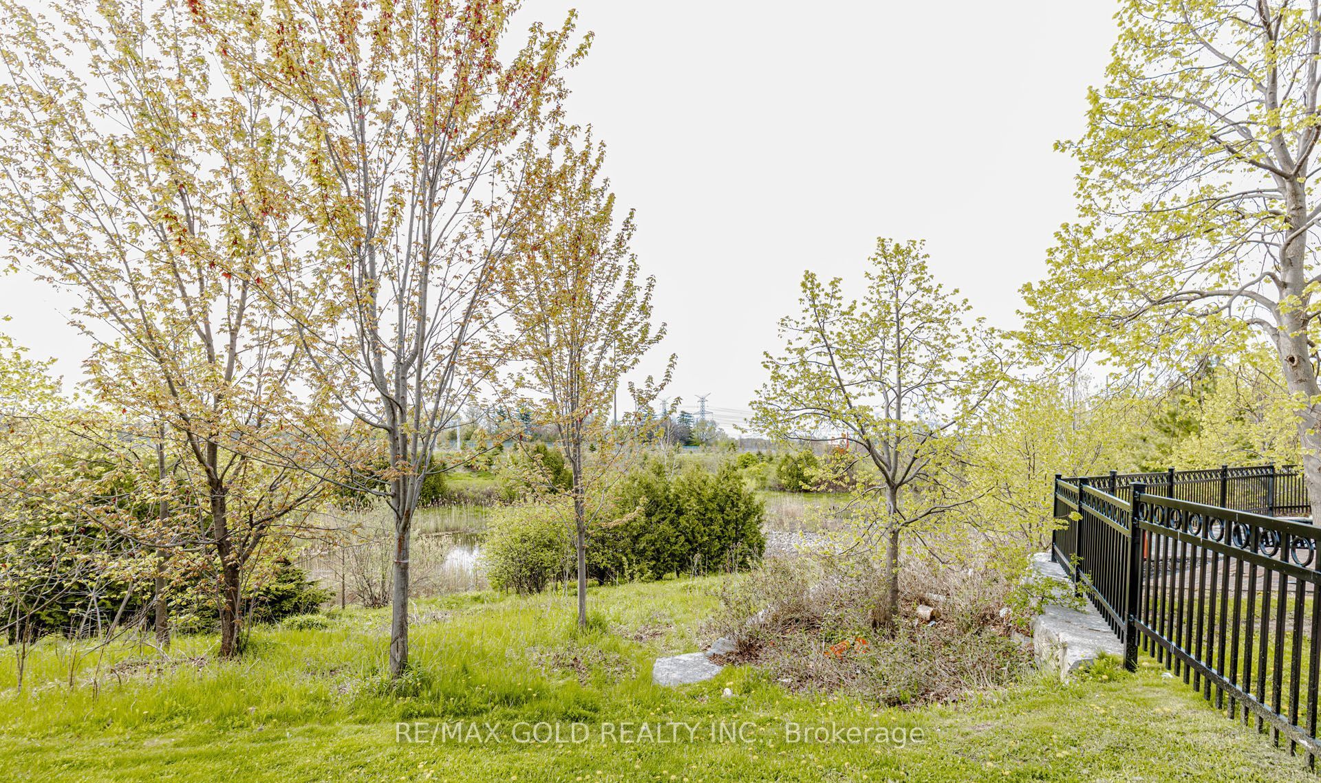 12 Cailiff Street Property Photo 34