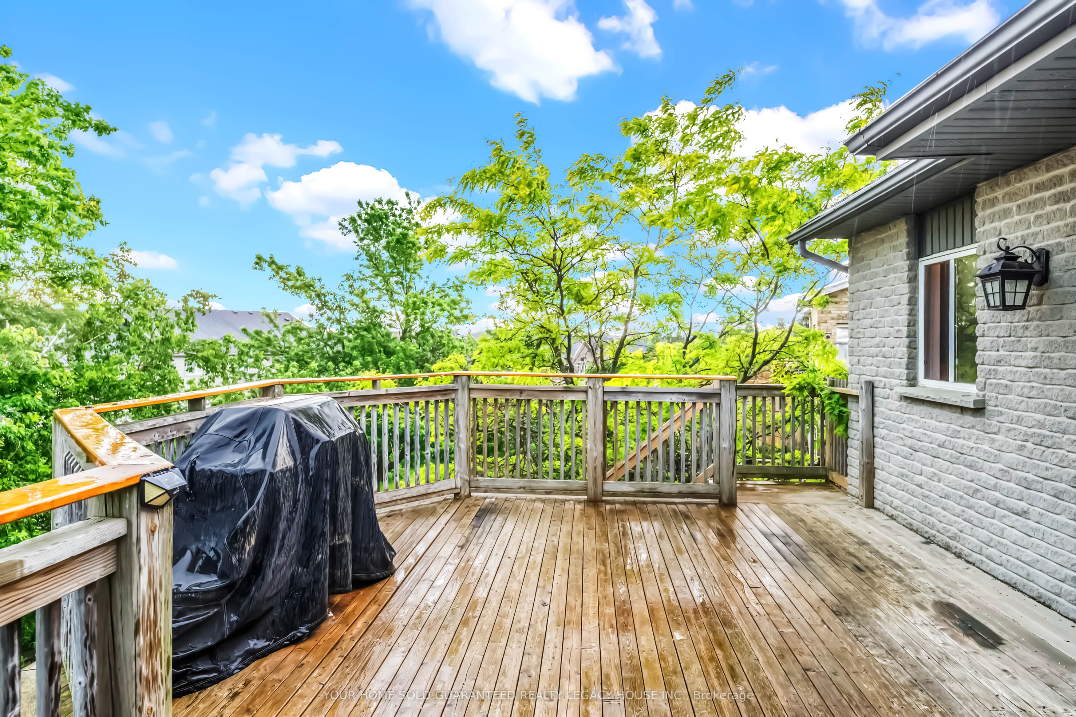 29 Cameron Court Property Photo 40