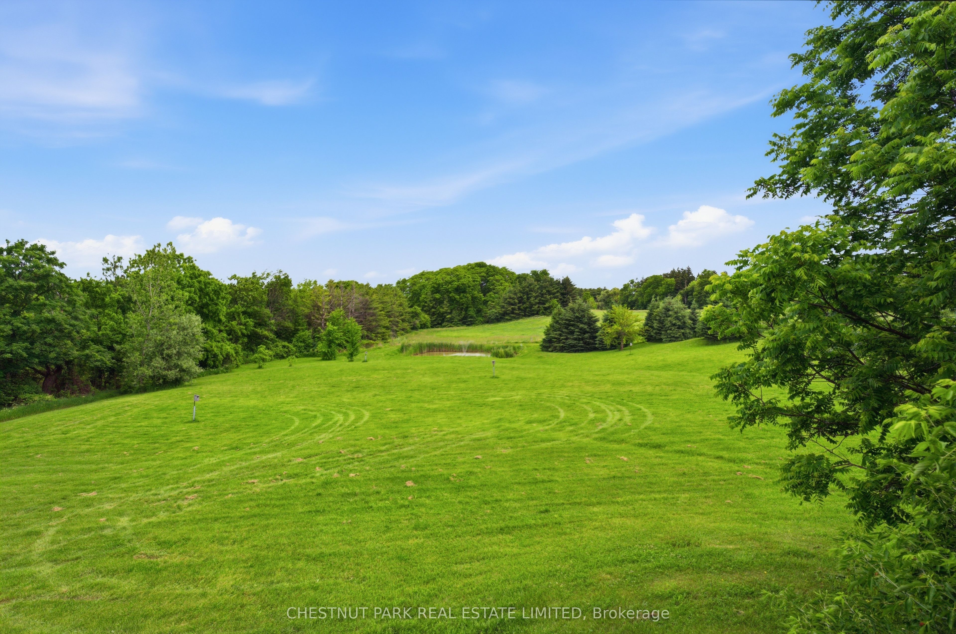 6115 Guelph Line Property Photo 38