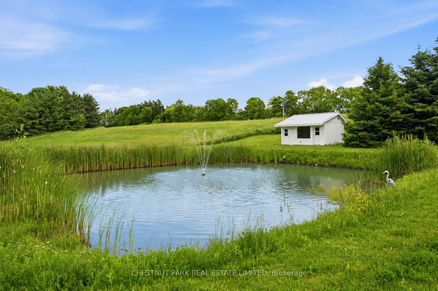 6115 Guelph Line Property Photo 39