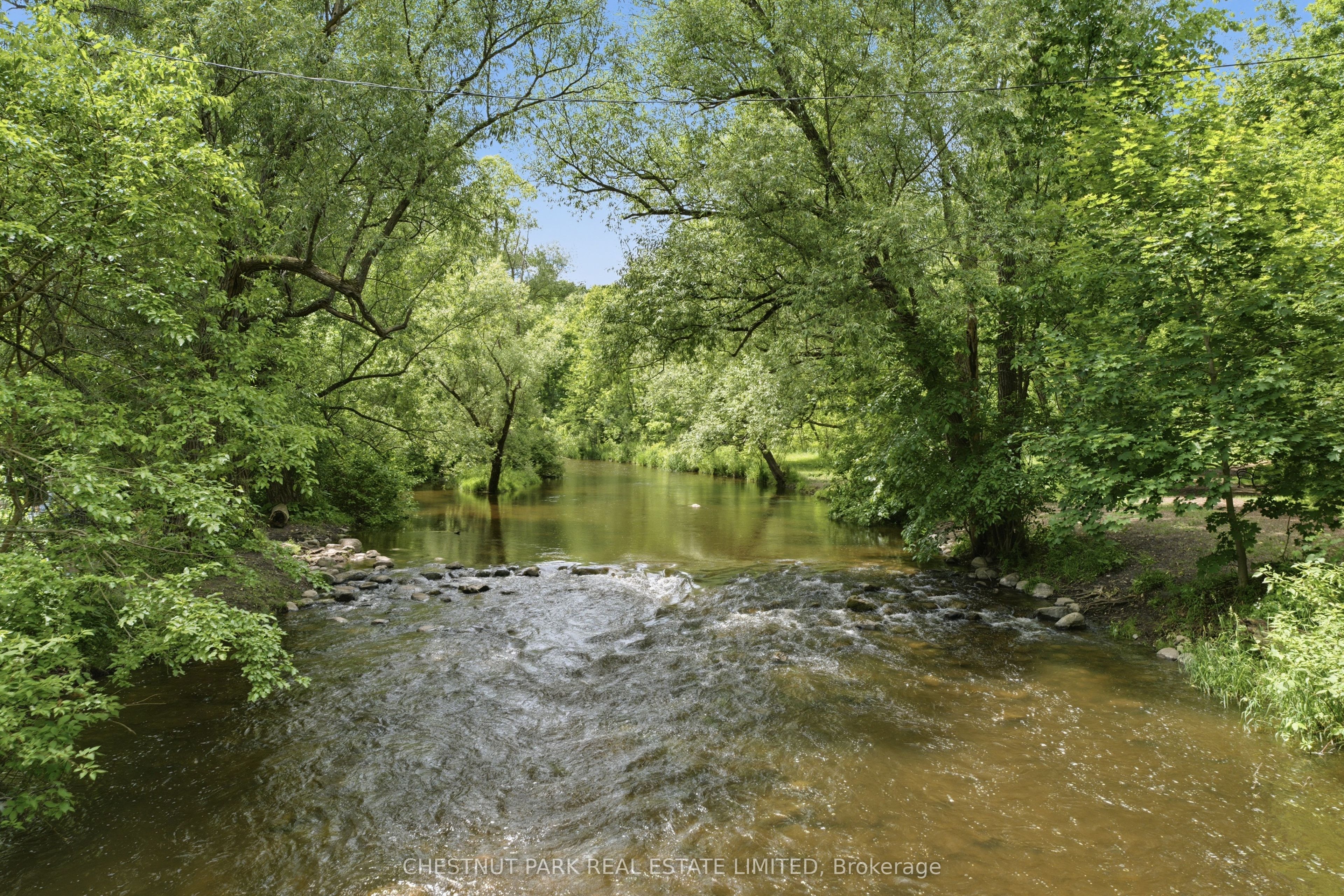 6115 Guelph Line Property Photo 45