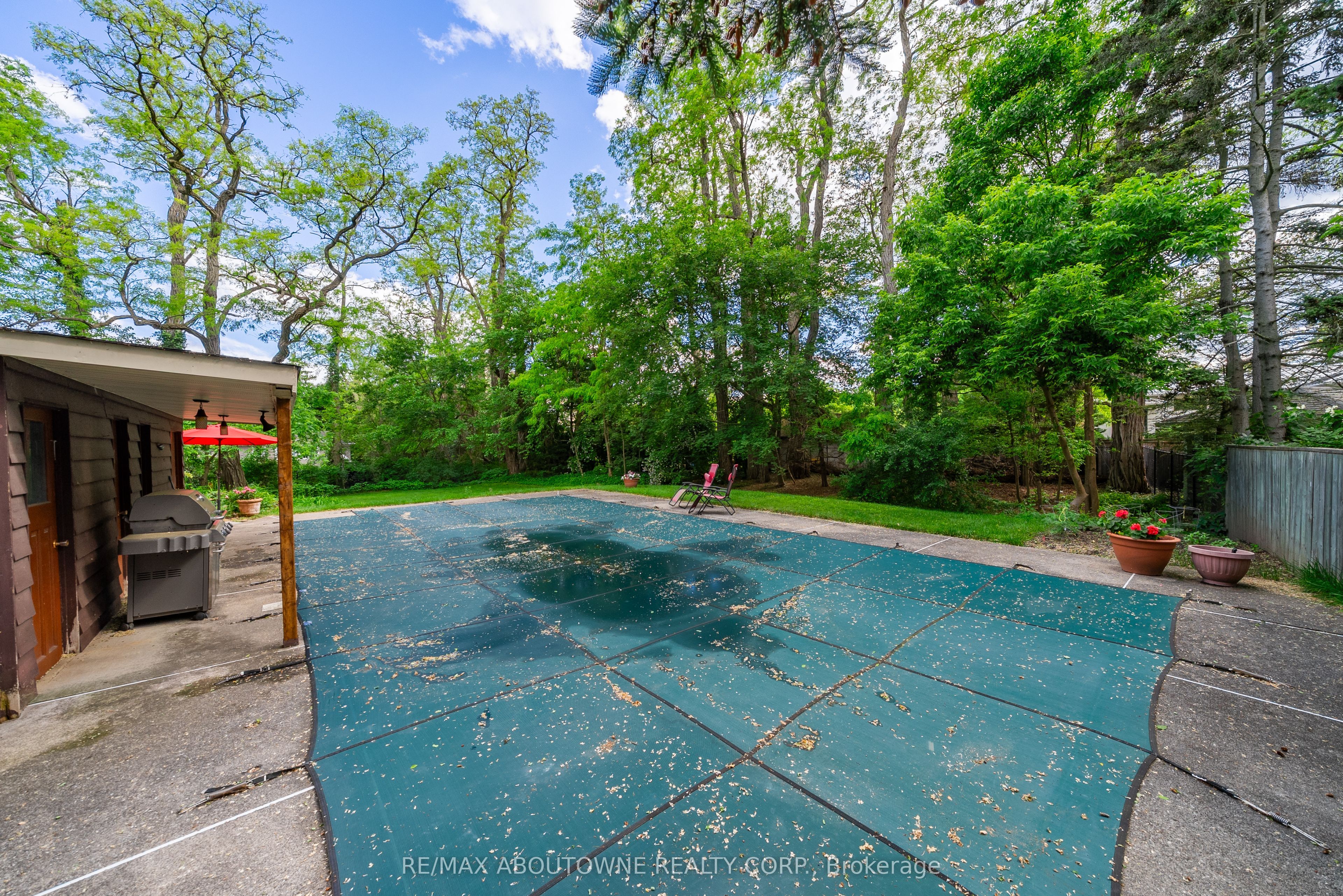 142 Abbey Court Property Photo 19