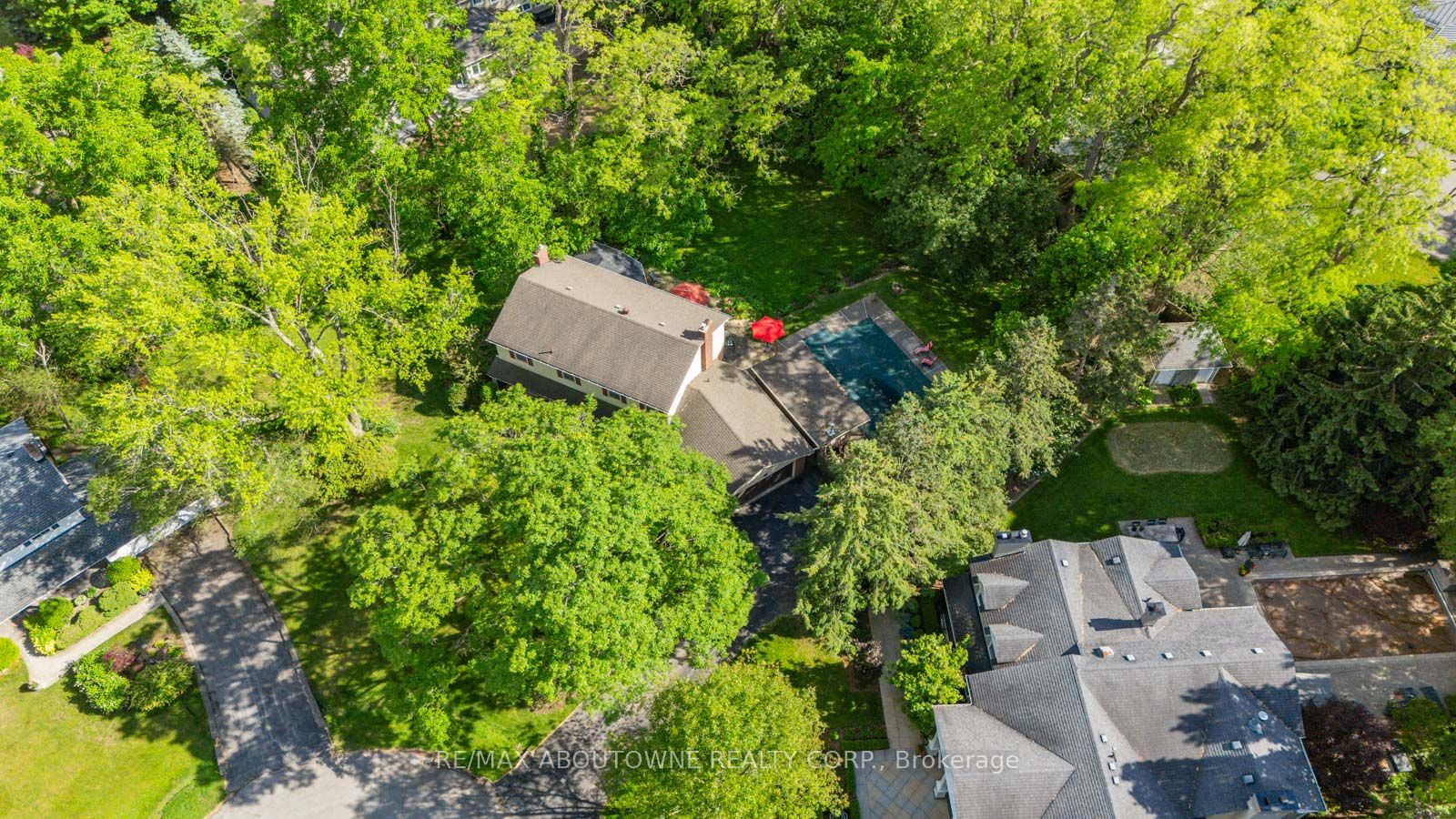142 Abbey Court Property Photo 22