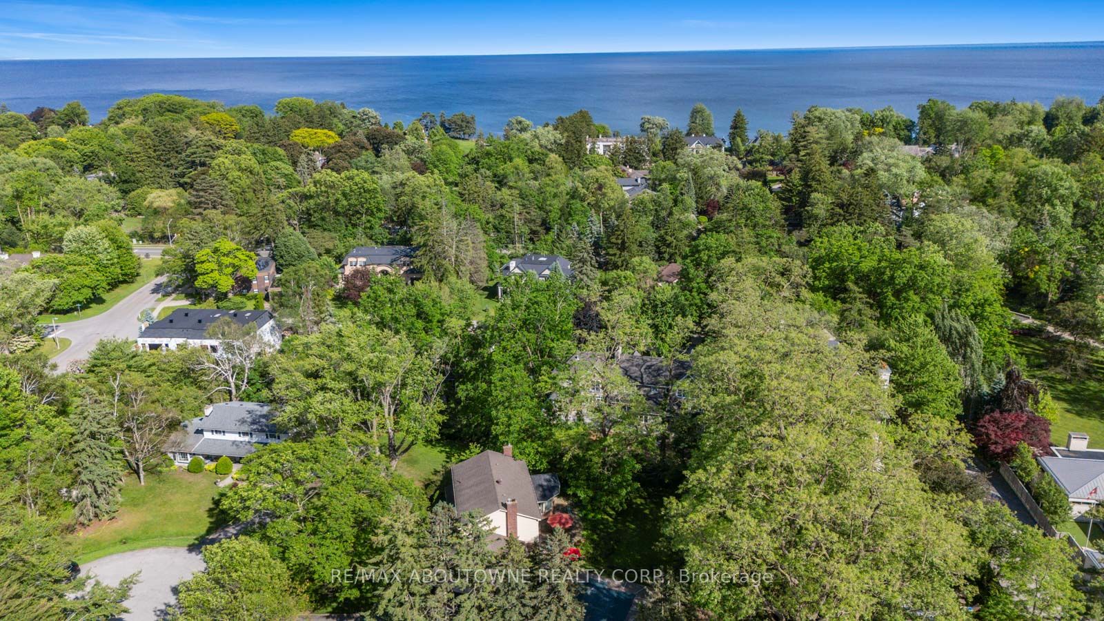 142 Abbey Court Property Photo 46