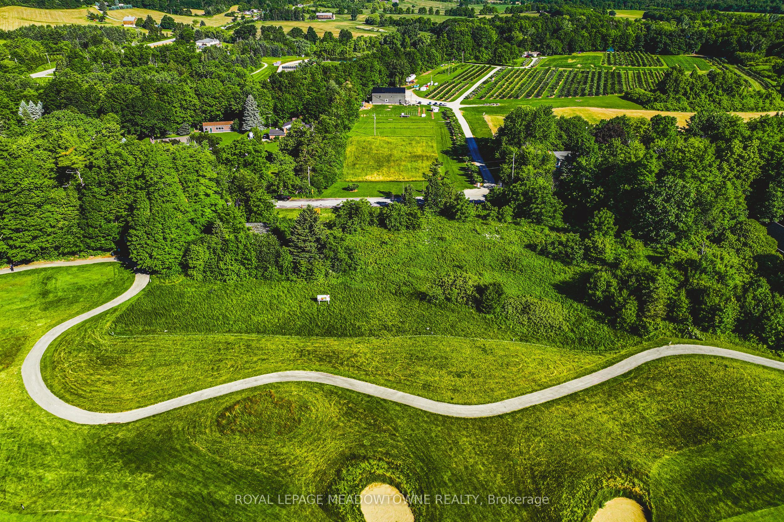 8220 10 Side Road Property Photo 4