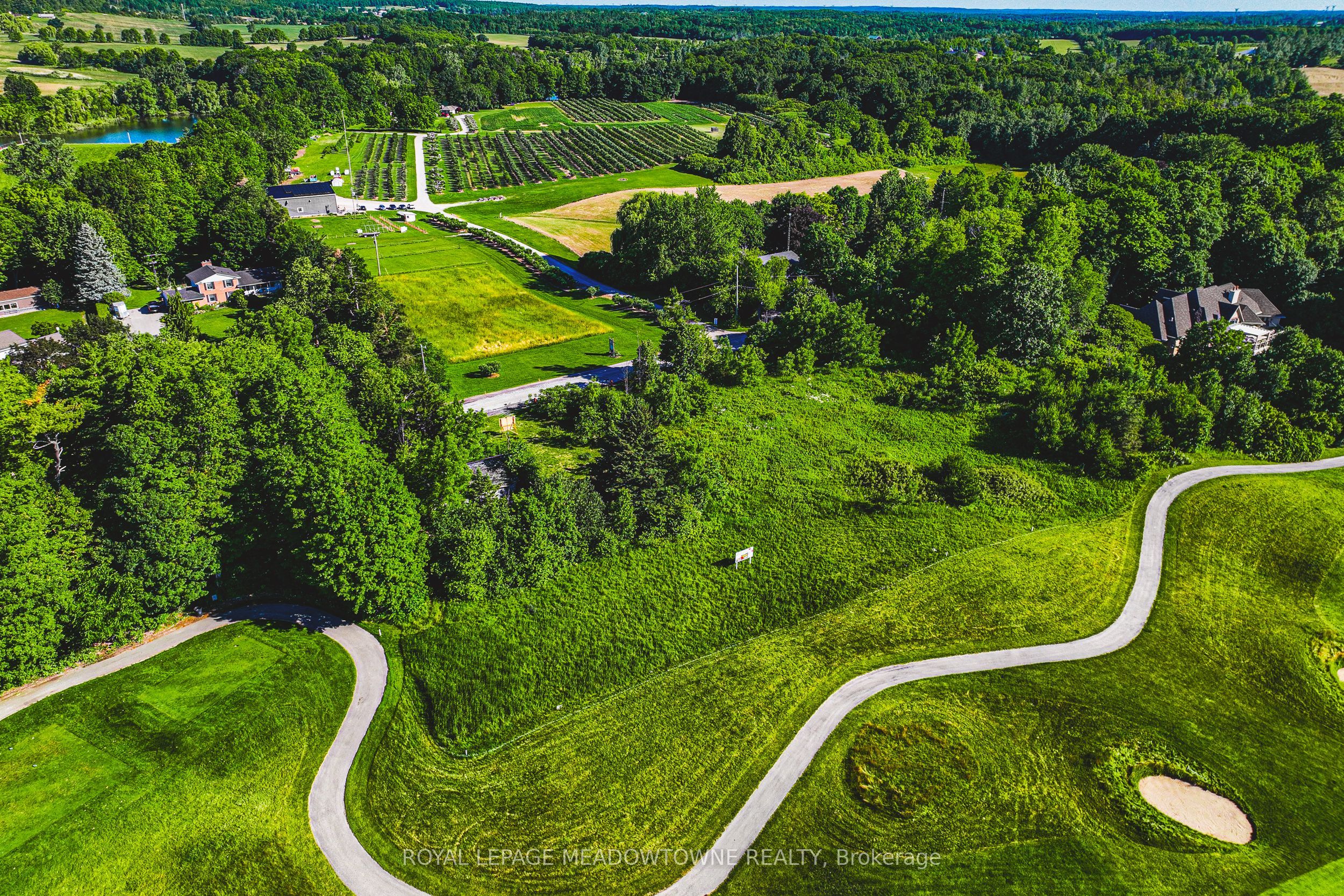8220 10 Side Road Property Photo 7
