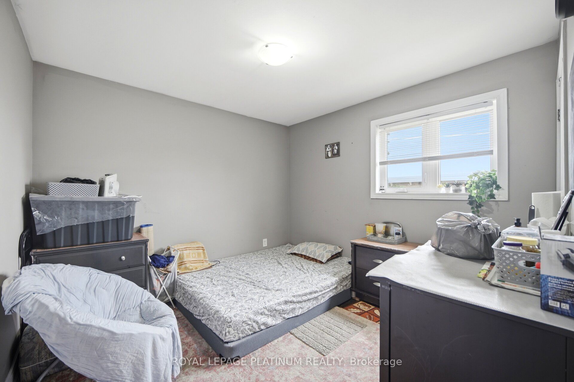 19 Golding Avenue Property Photo 16