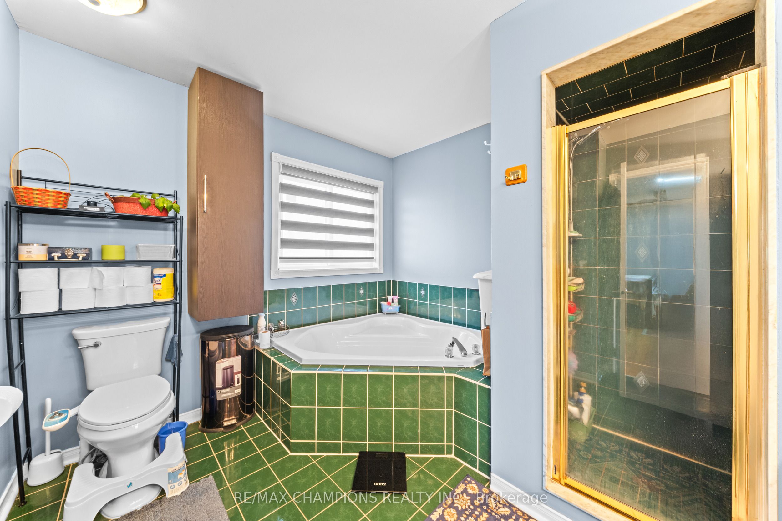 3 Fiddleneck Crescent Property Photo 26