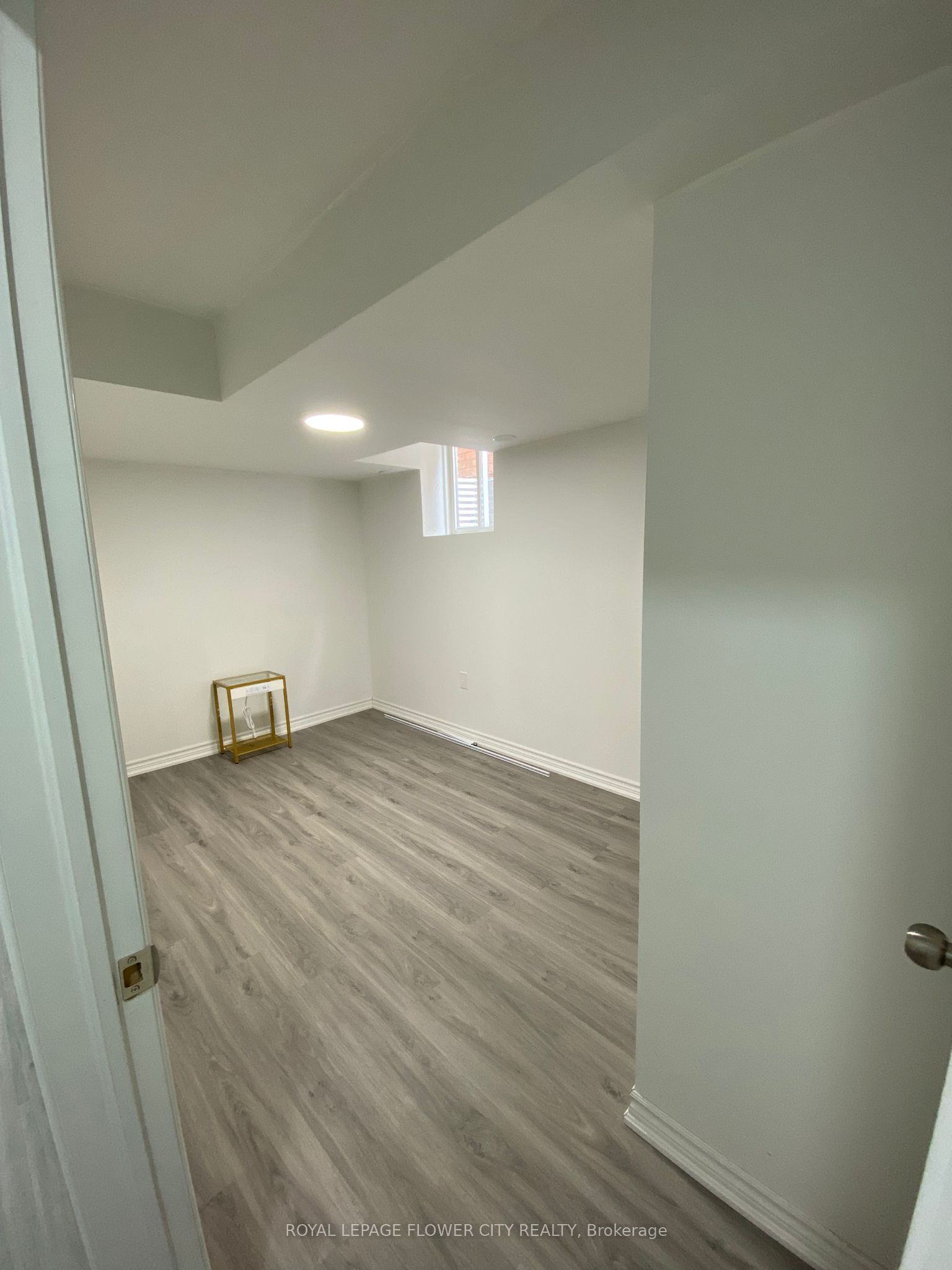 29 Marshmarigold Drive Basement Property Photo 9