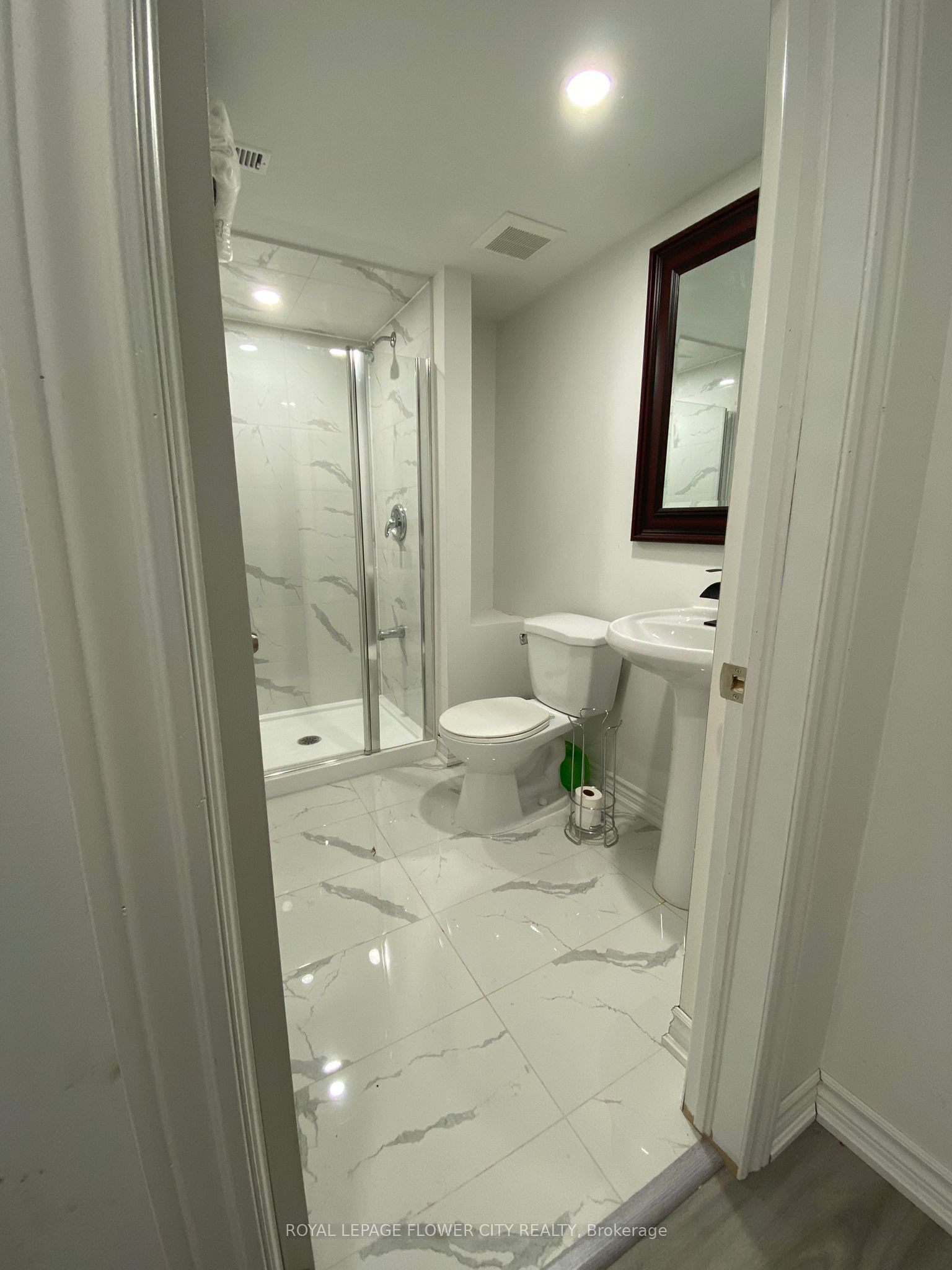 29 Marshmarigold Drive Basement Property Photo 10