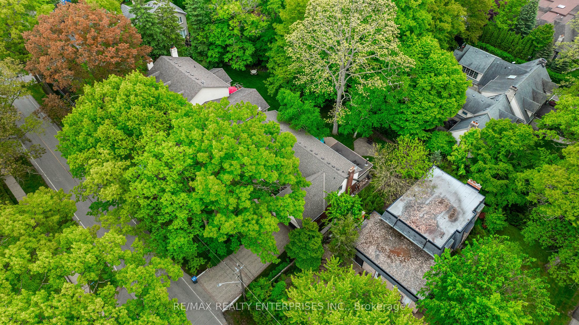 208 Mineola Road W Property Photo 46