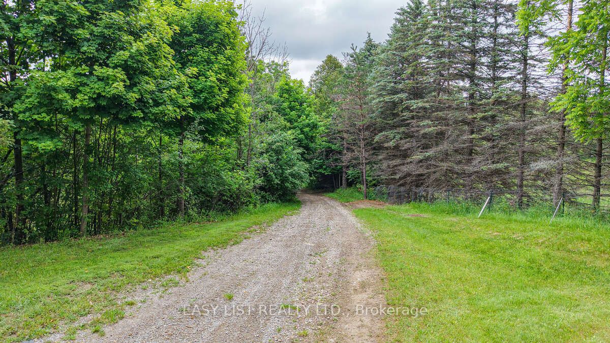 14877 The Gore Road Property Photo 7
