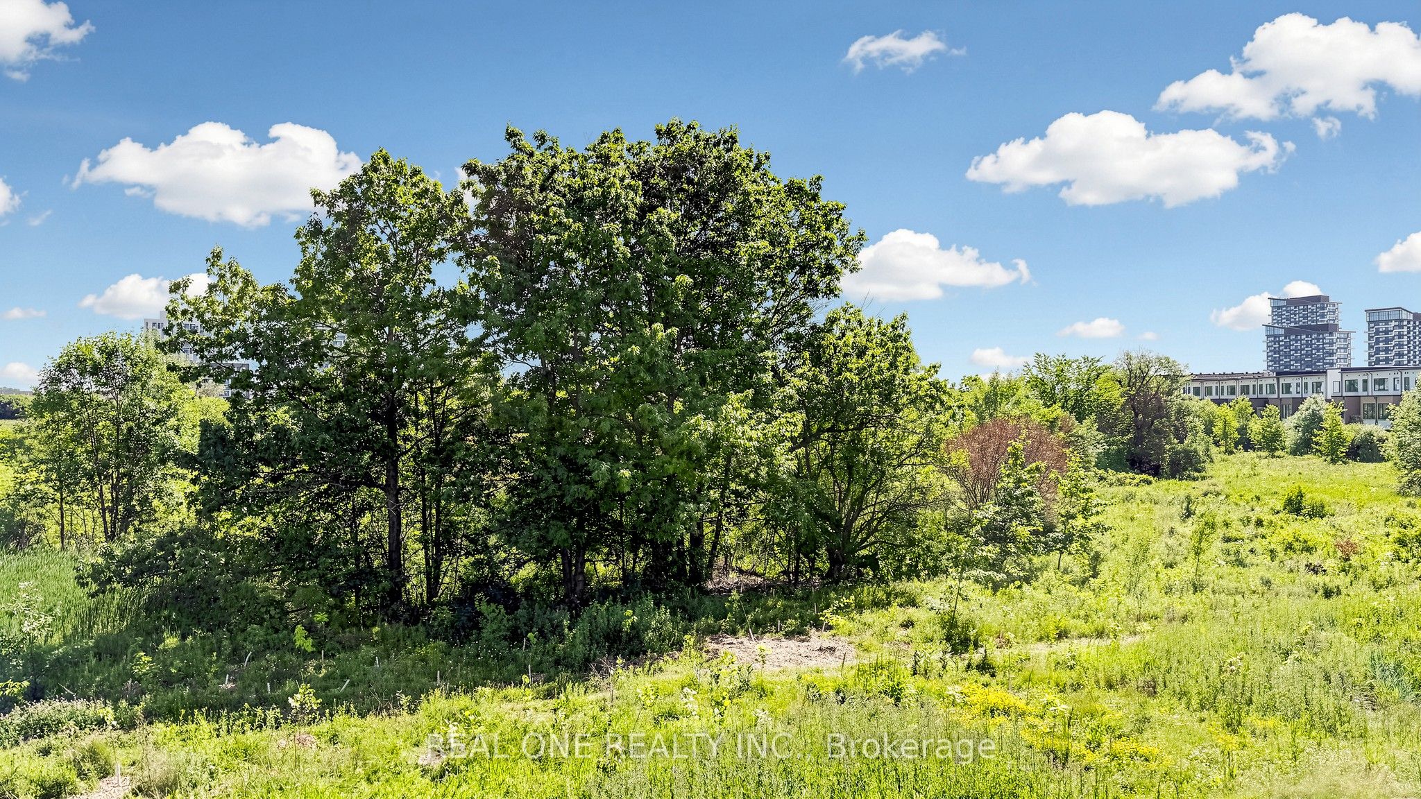 3151 Mintwood Circle Property Photo 41