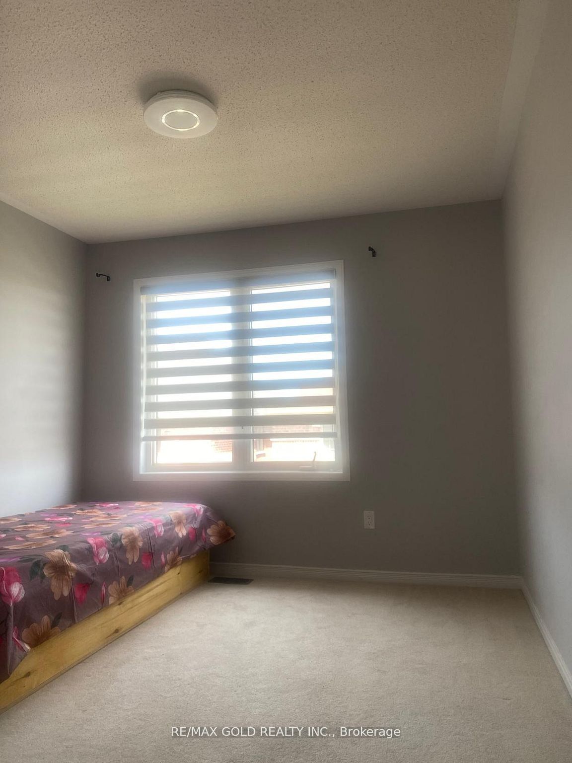 66 Zelda Road Property Photo 14