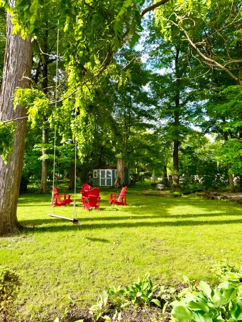 89 Holyrood Avenue Property Photo 34