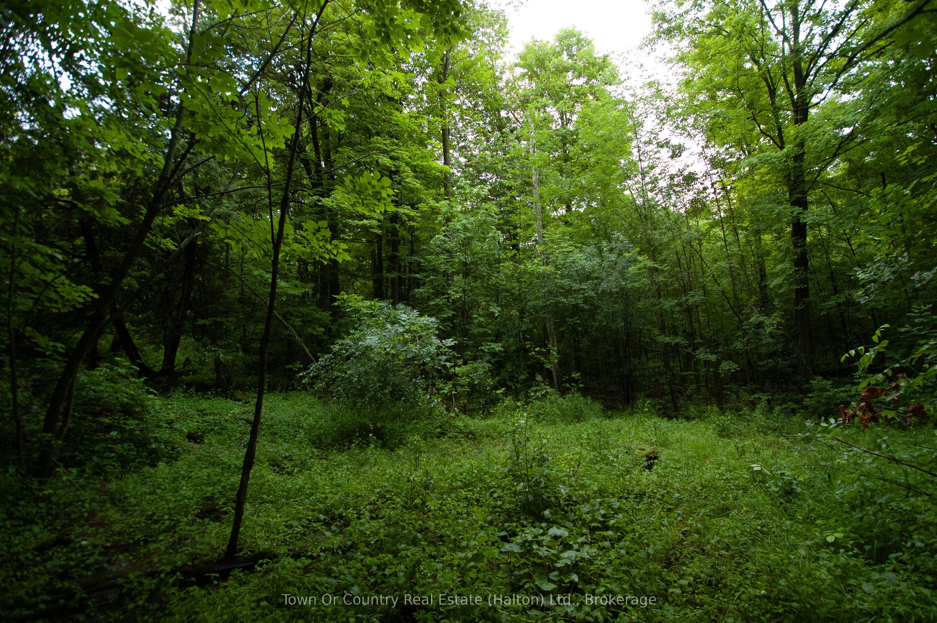 0 Fourth Line Property Photo 14